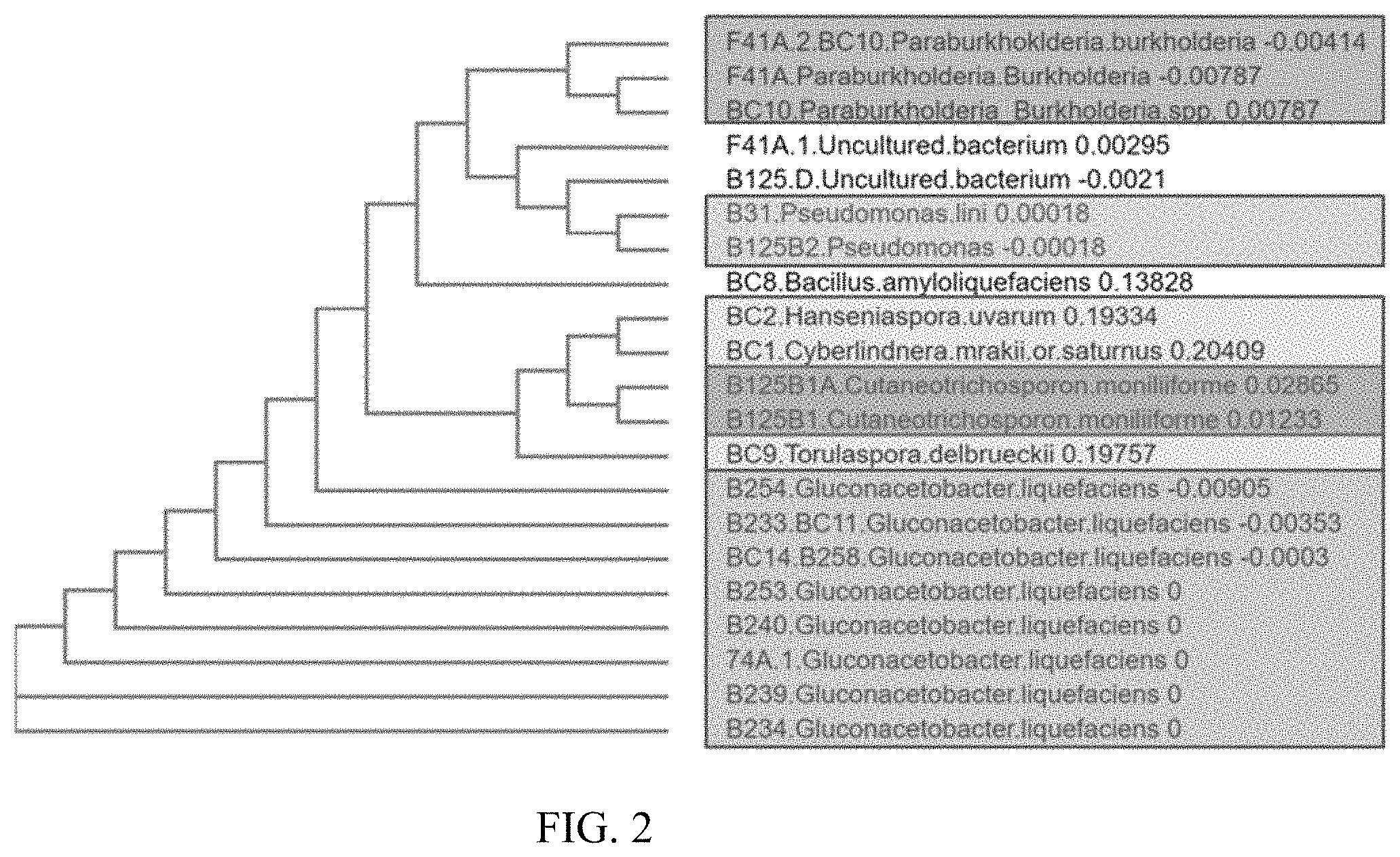 Patent US11771029 Figure 2 – Microbial compositions for the prevention or reduction of growth of fungal pathogens on plants