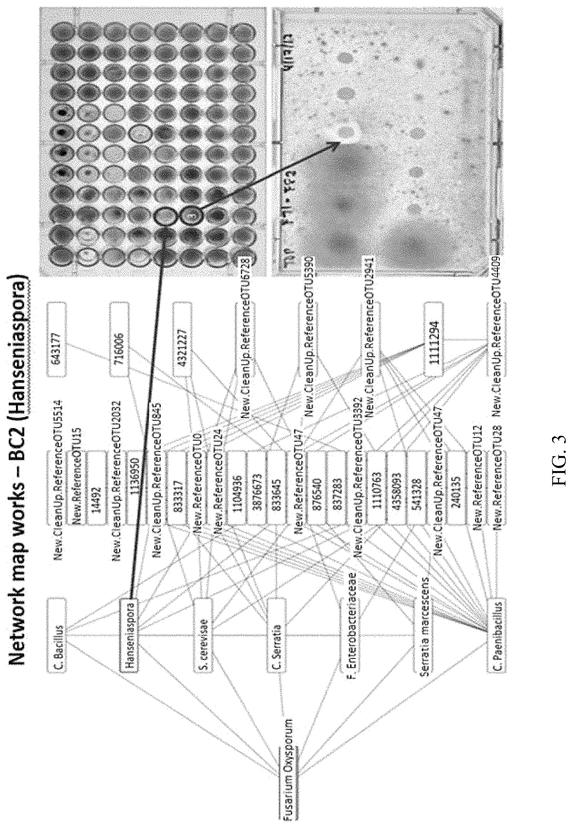 Patent US11771029 Figure 3 – Microbial compositions for the prevention or reduction of growth of fungal pathogens on plants
