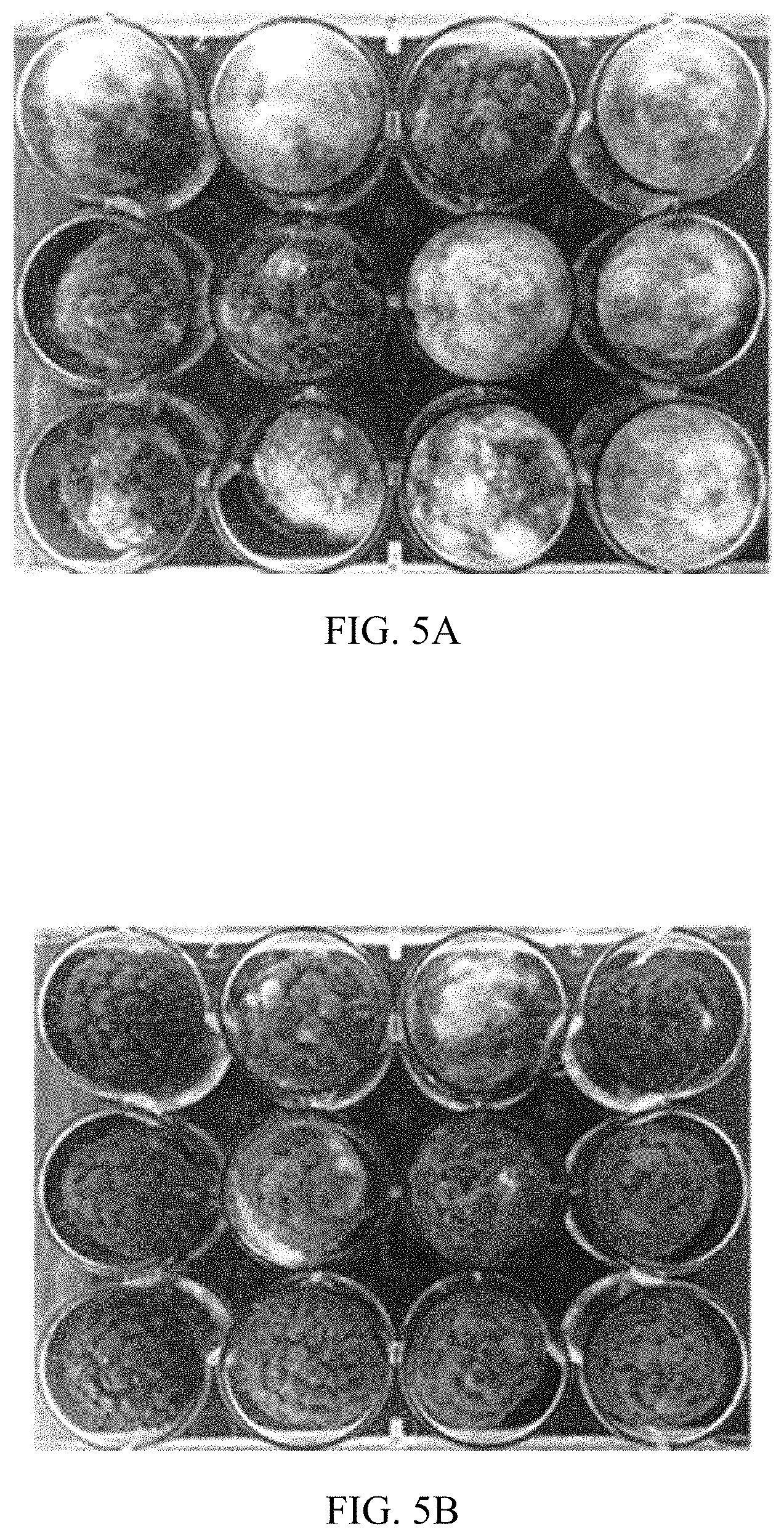 Patent US11771029 Figure 5 – Microbial compositions for the prevention or reduction of growth of fungal pathogens on plants