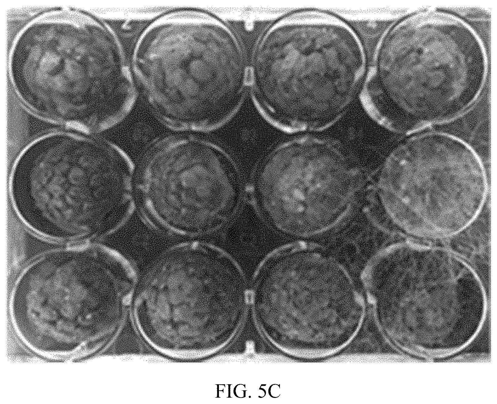 Patent US11771029 Figure 6 – Microbial compositions for the prevention or reduction of growth of fungal pathogens on plants