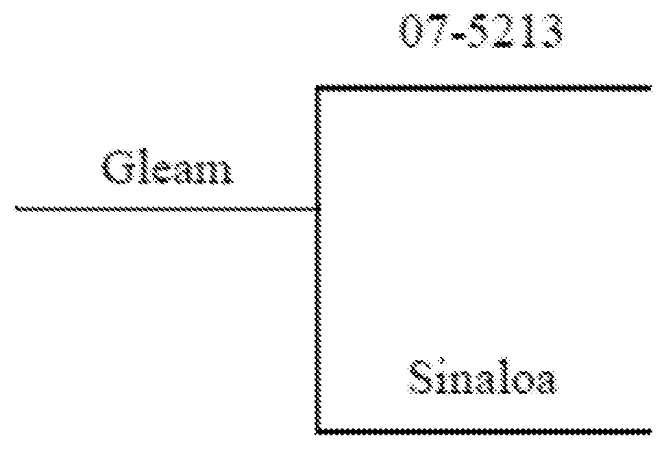 Patent US11771047 Figure 1 – Edible bean line <14455> (GLEAM)