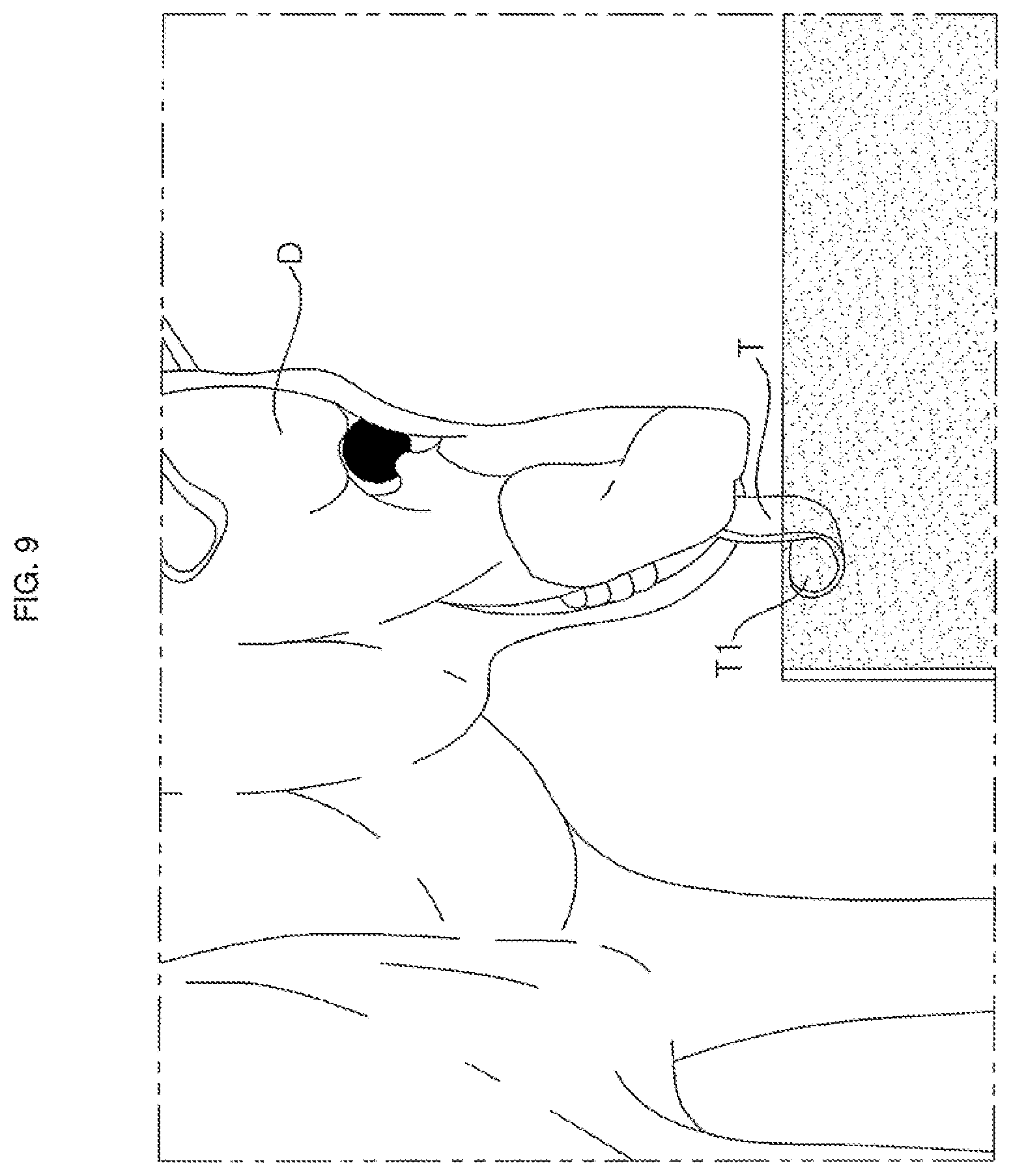 Patent US11771058 Figure 9 – Liquid dispenser for animals