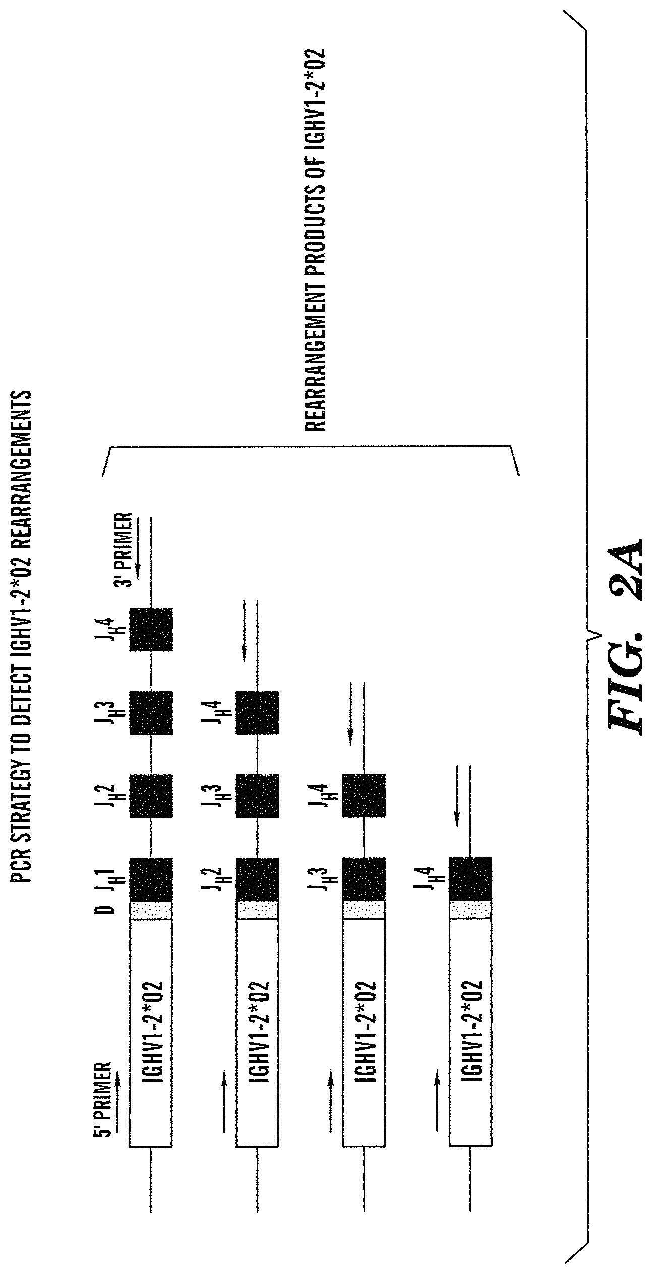 Patent US11771069 Figure 3 – High-throughput mouse model for optimizing antibody affinities