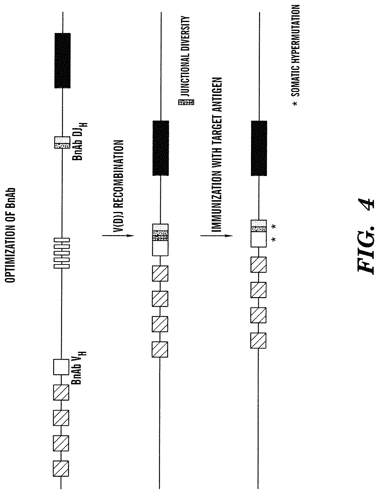 Patent US11771069 Figure 6 – High-throughput mouse model for optimizing antibody affinities