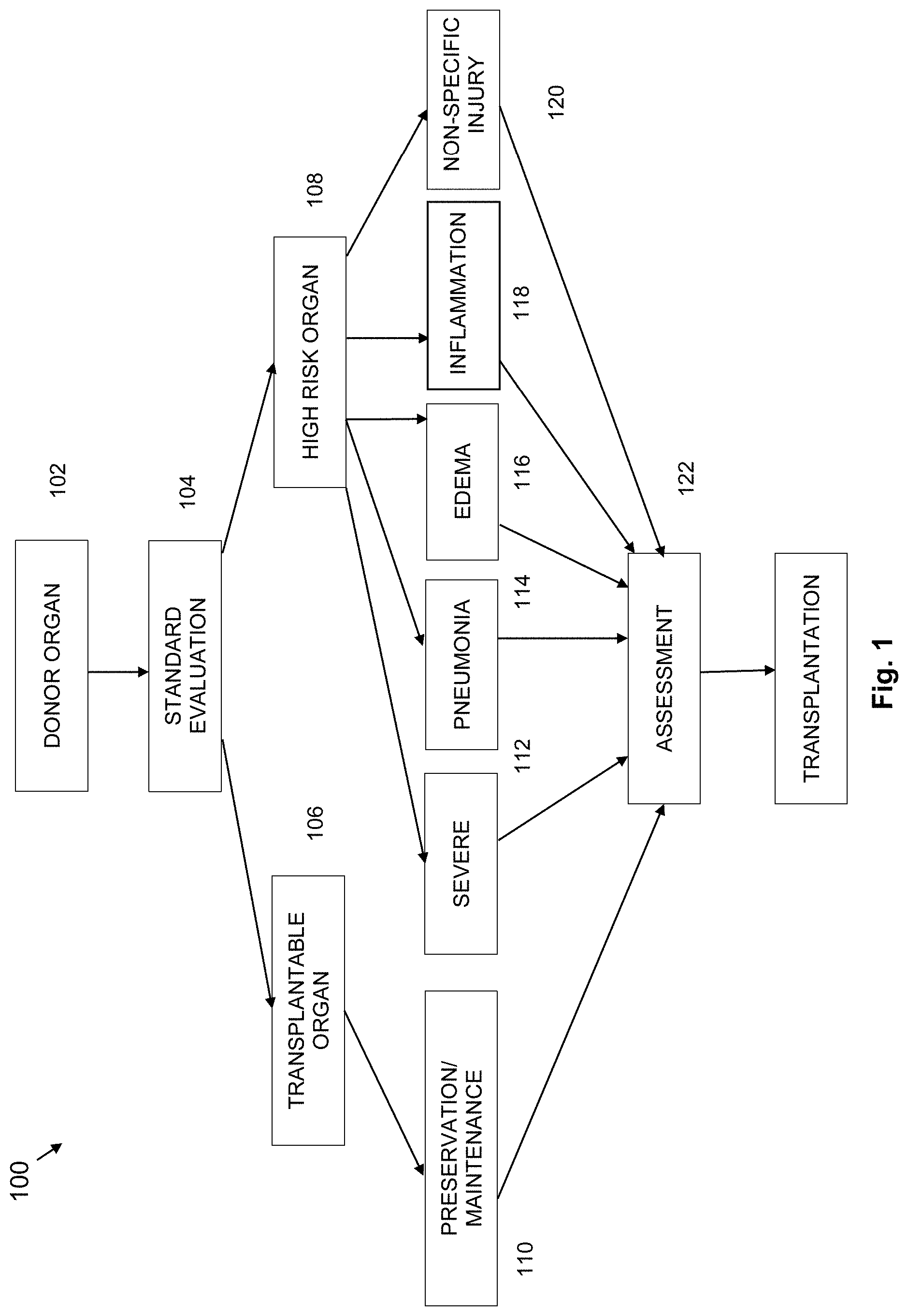 Patent US11771081 Figure 1 – Modified donor organs