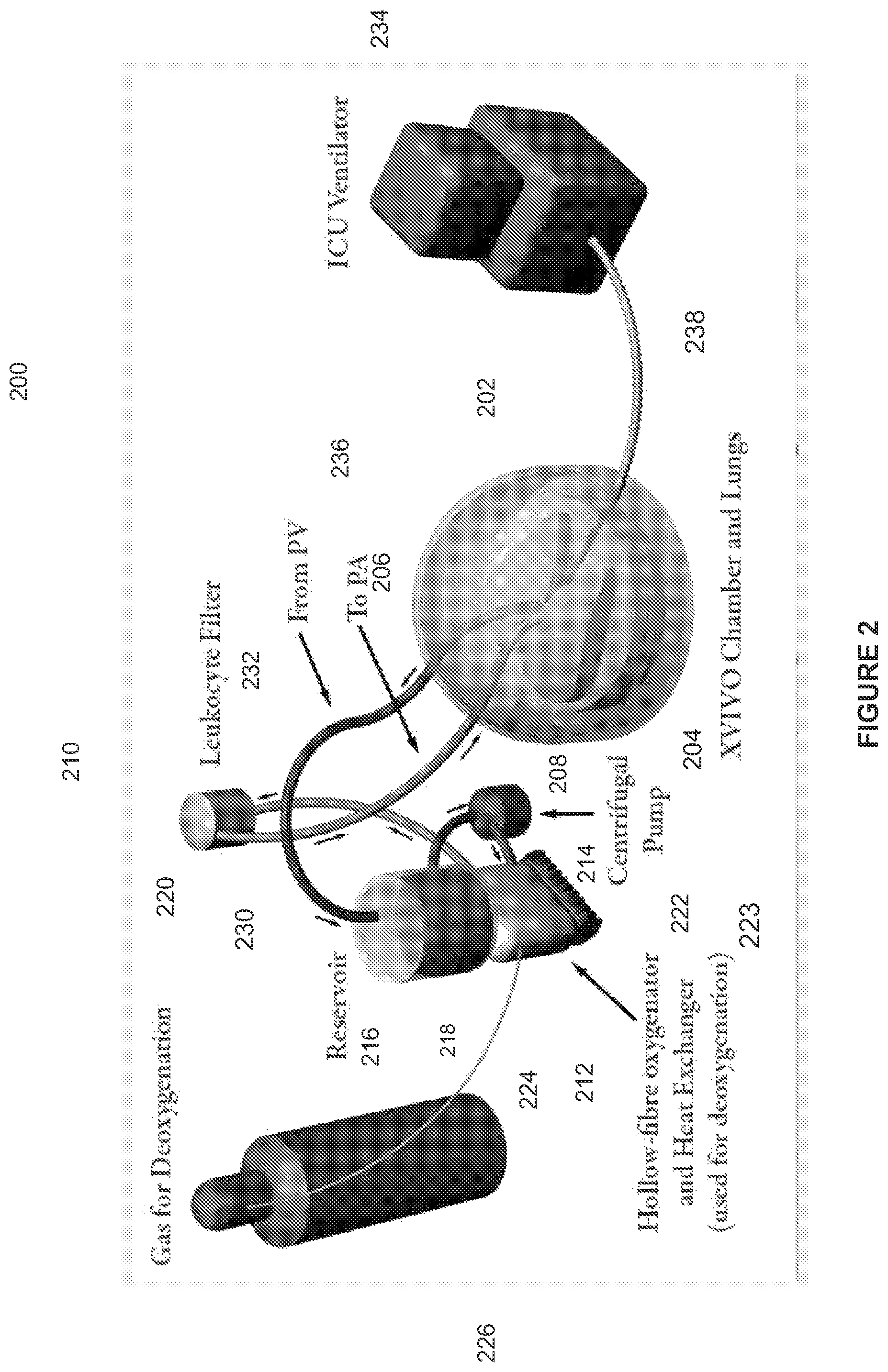 Patent US11771081 Figure 2 – Modified donor organs