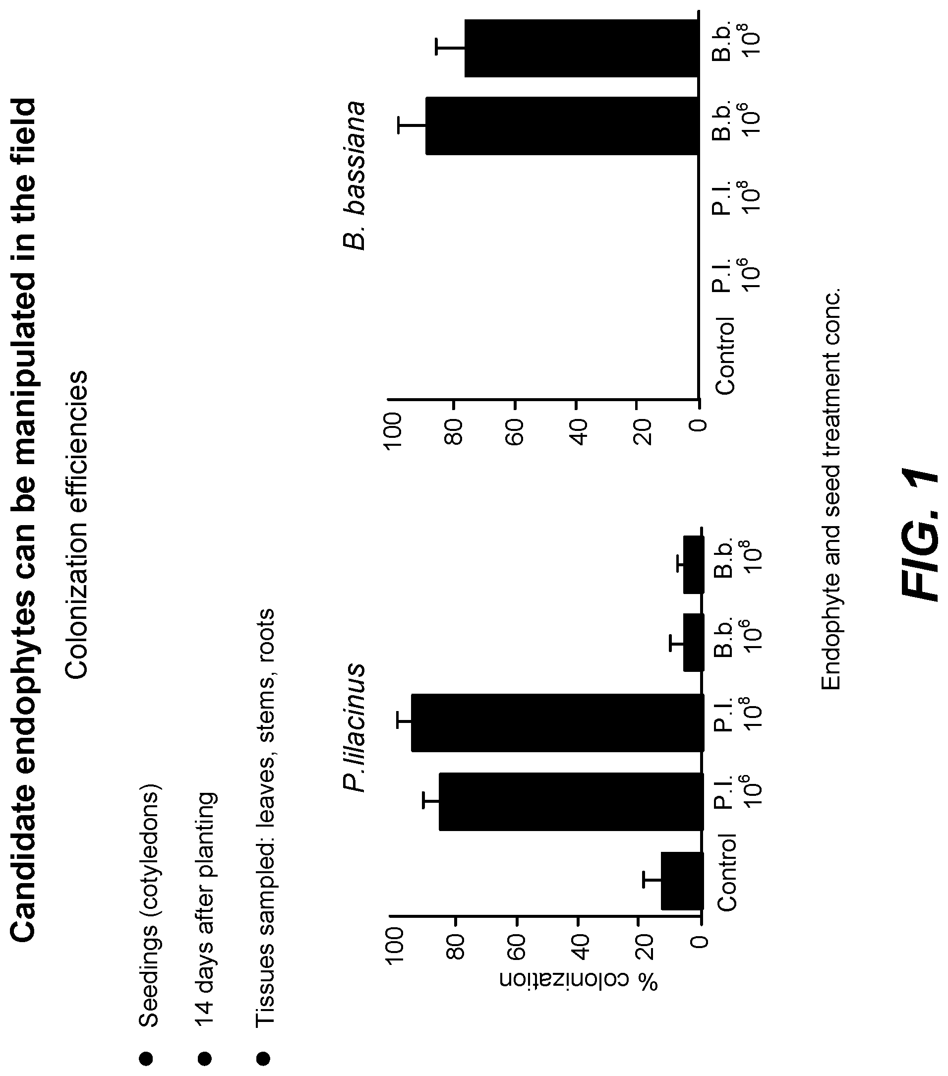 Patent US11771090 Figure 1 – Fungal endophytes for improved crop yields and protection from pests