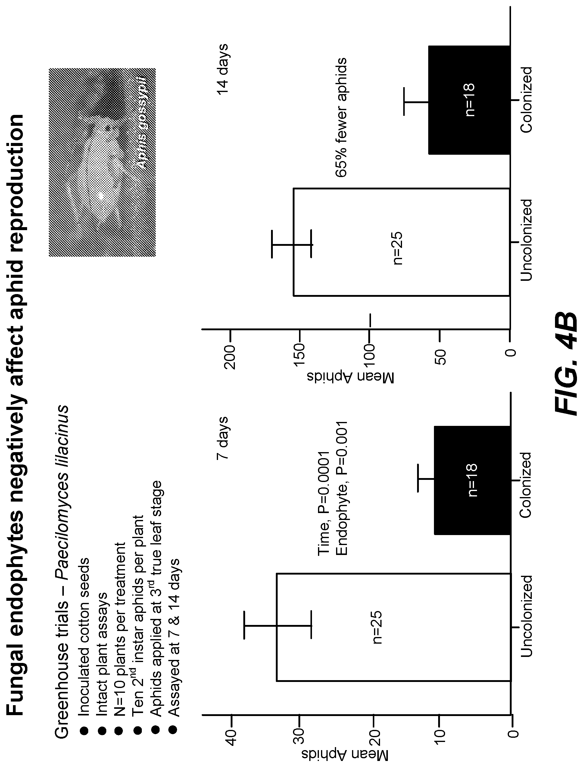 Patent US11771090 Figure 5 – Fungal endophytes for improved crop yields and protection from pests