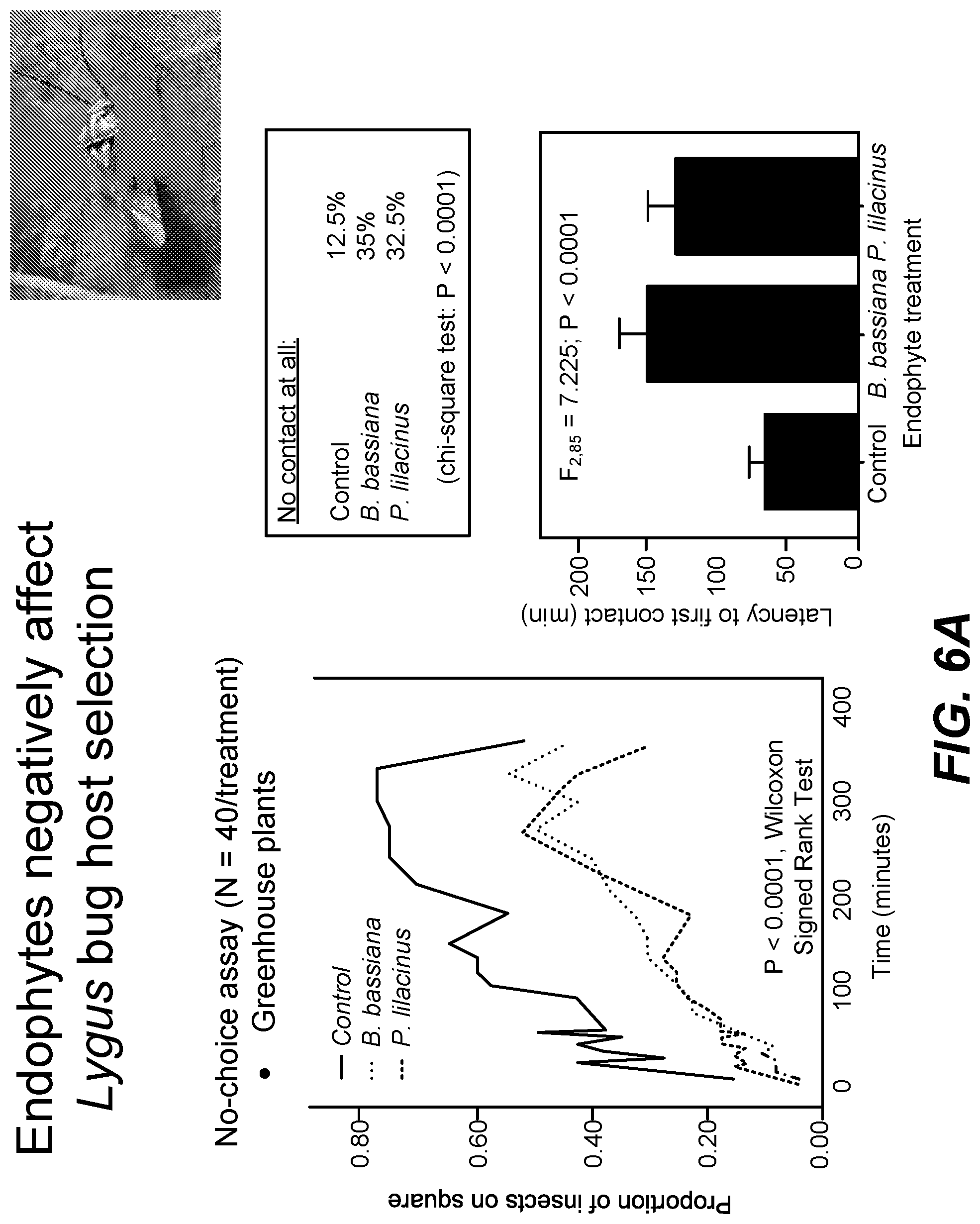 Patent US11771090 Figure 7 – Fungal endophytes for improved crop yields and protection from pests