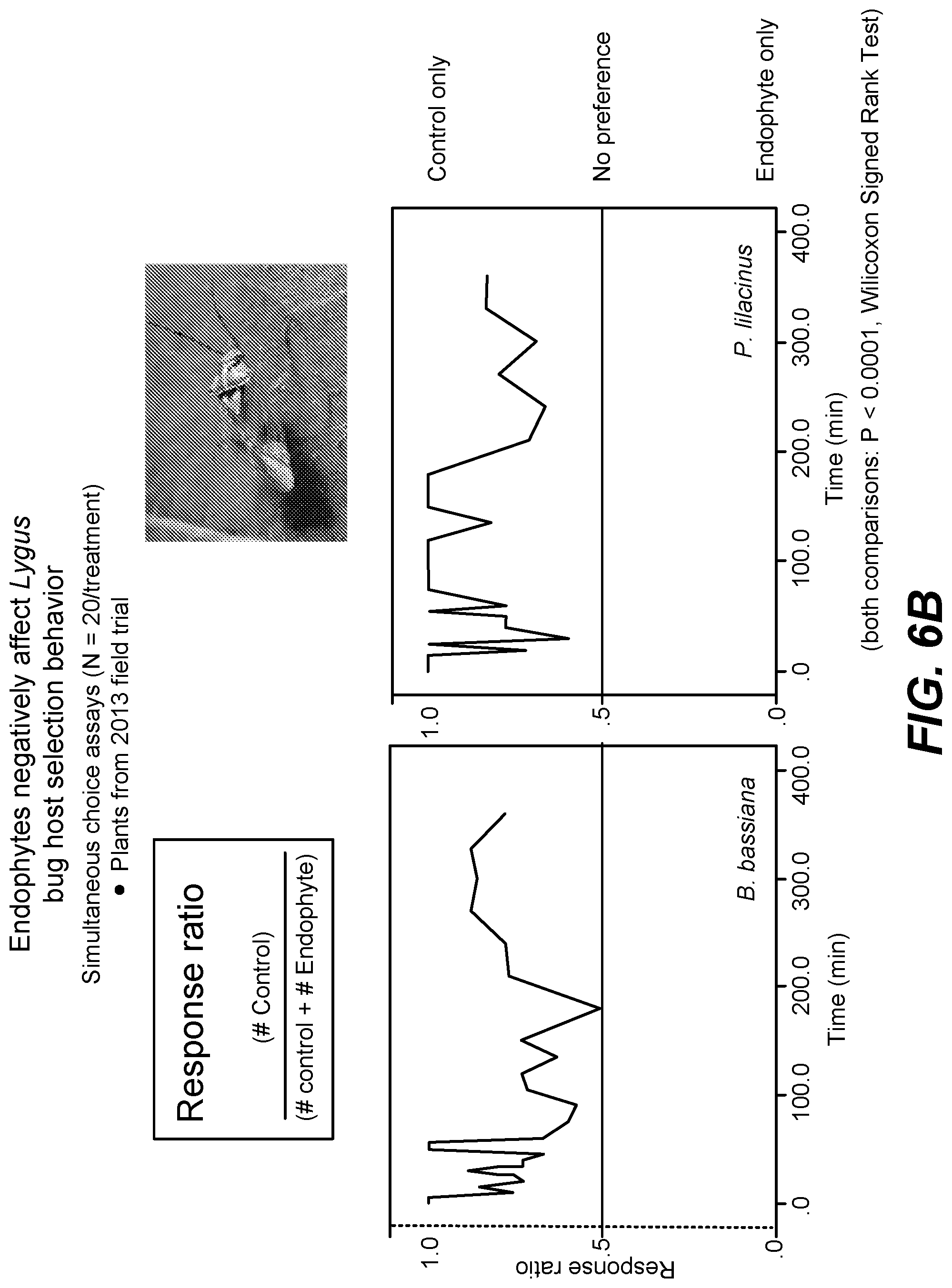 Patent US11771090 Figure 8 – Fungal endophytes for improved crop yields and protection from pests