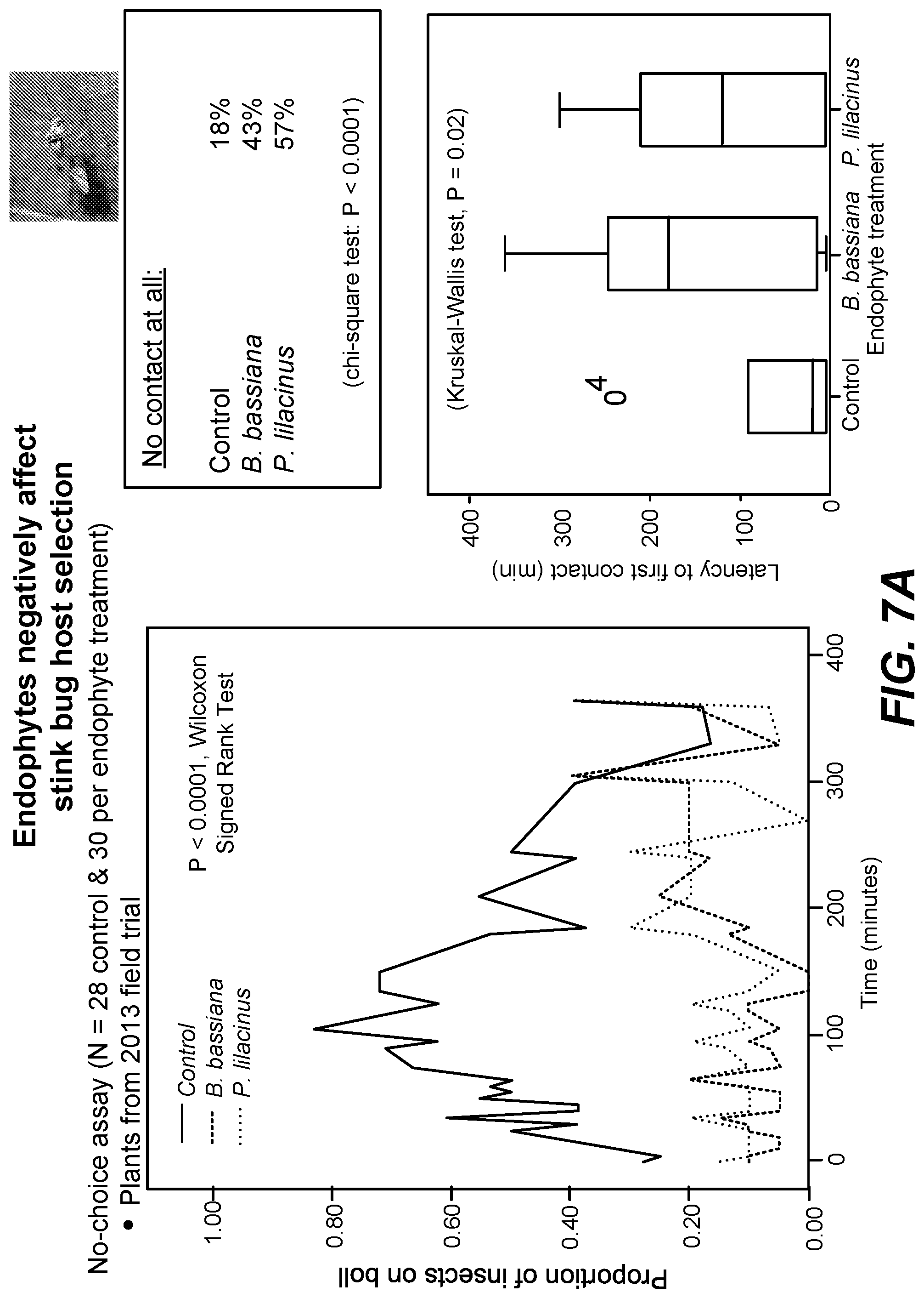 Patent US11771090 Figure 9 – Fungal endophytes for improved crop yields and protection from pests