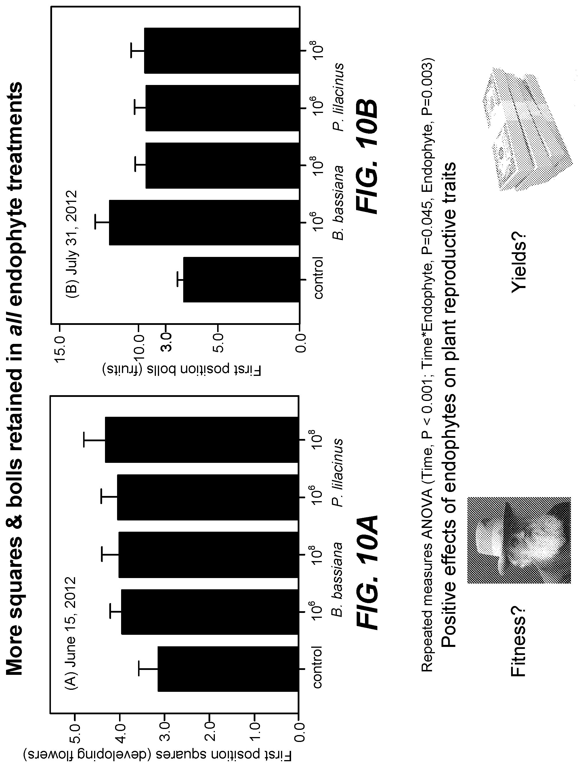 Patent US11771090 Figure 13 – Fungal endophytes for improved crop yields and protection from pests