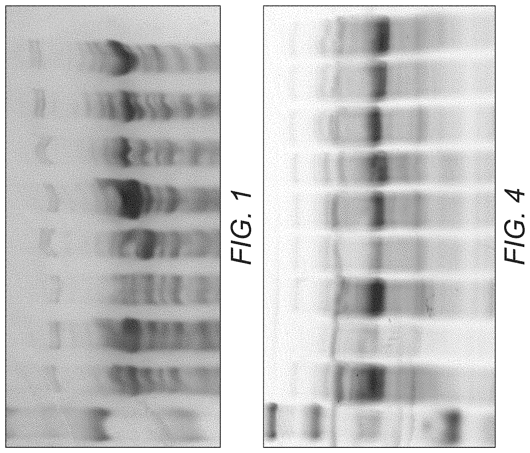 Patent US11771092 Figure 1 – Modified VIP3 polypeptides