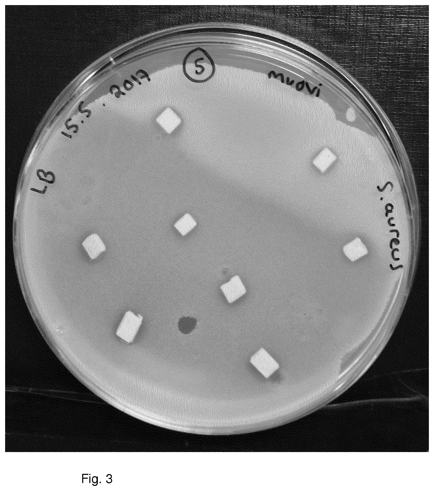 Patent US11771094 Figure 3 – Antimicrobial polymer composition