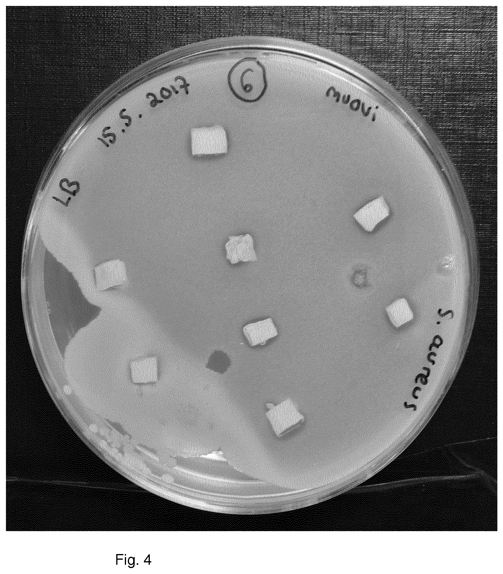Patent US11771094 Figure 4 – Antimicrobial polymer composition