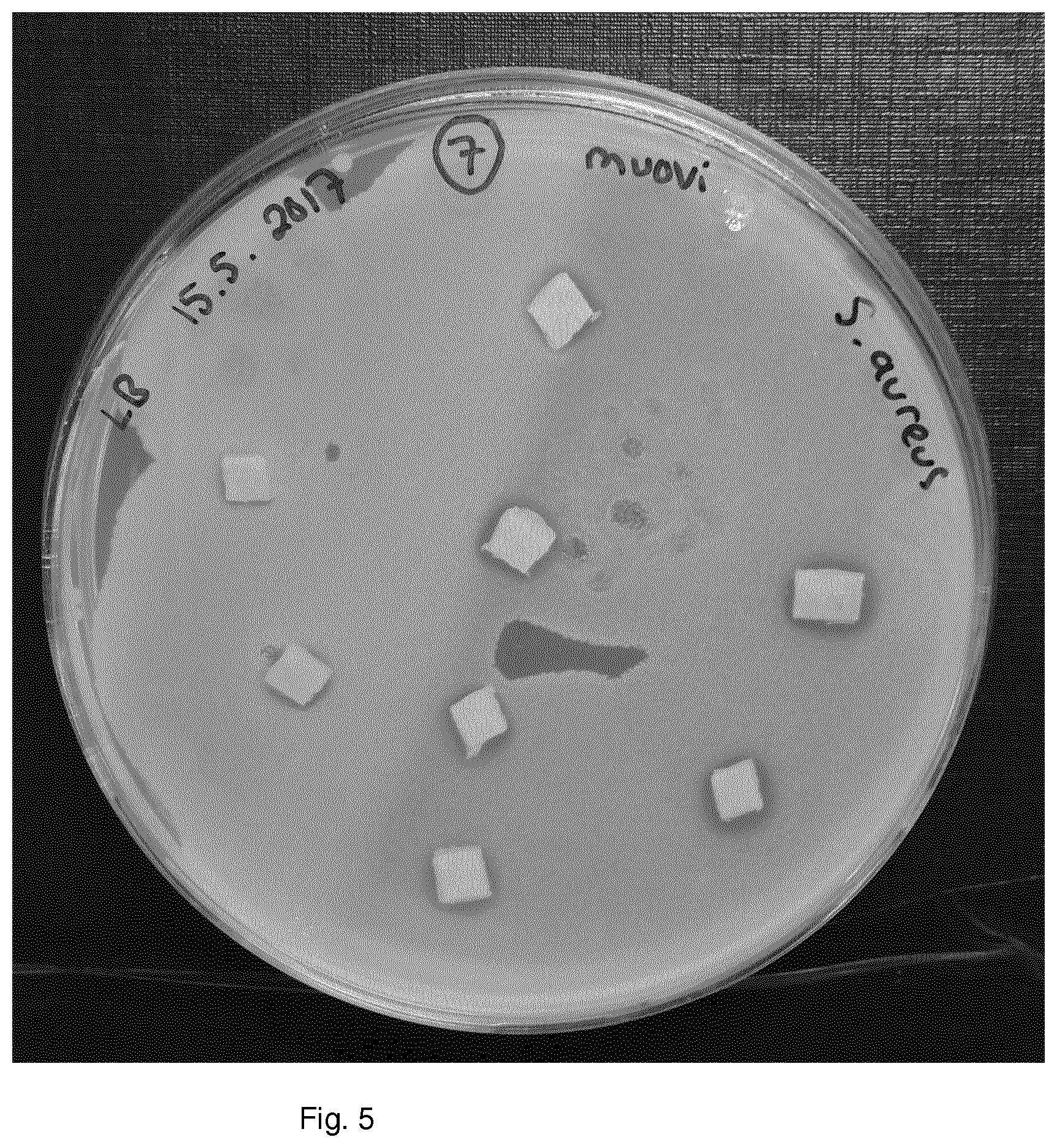 Patent US11771094 Figure 5 – Antimicrobial polymer composition
