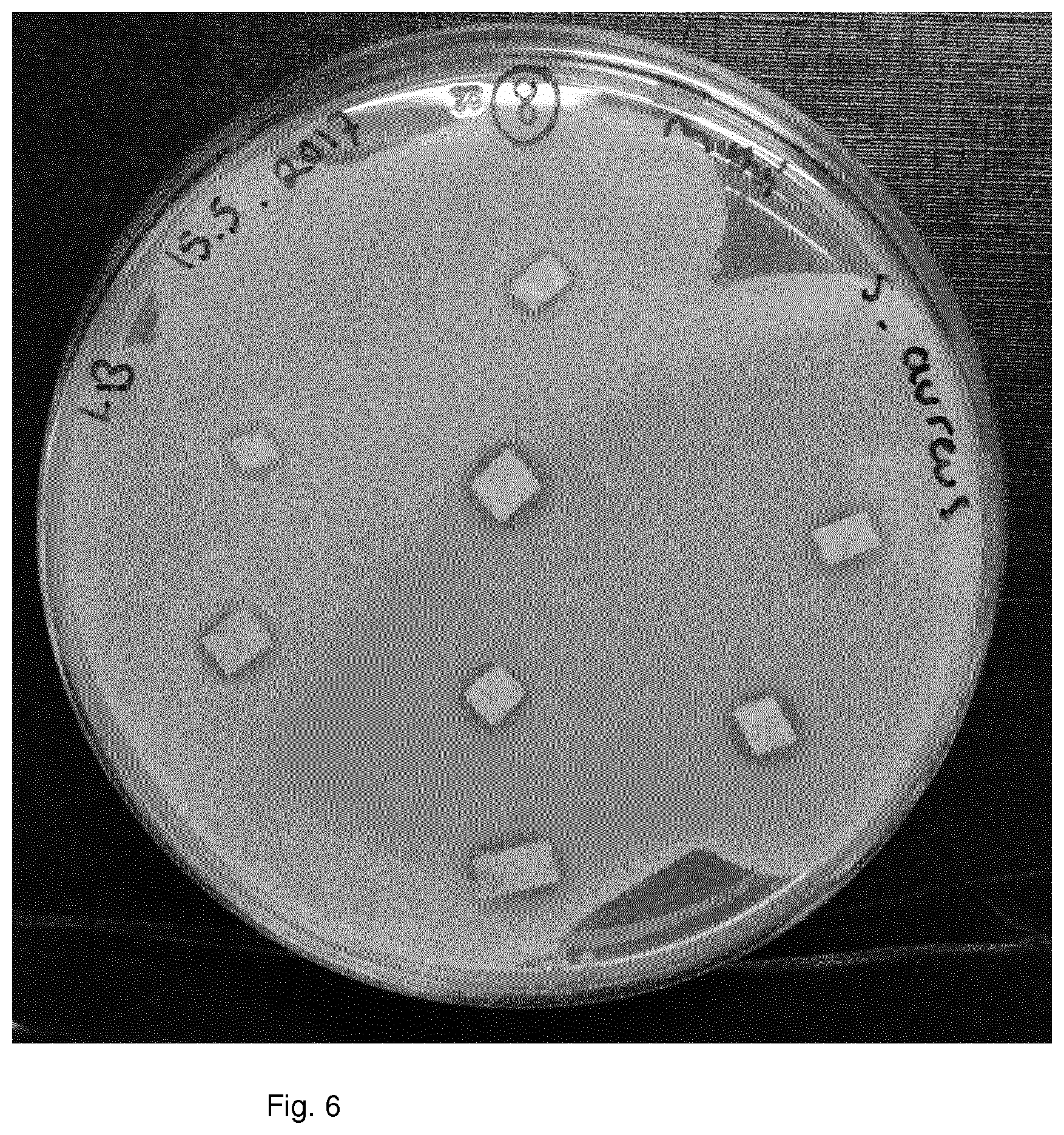 Patent US11771094 Figure 6 – Antimicrobial polymer composition