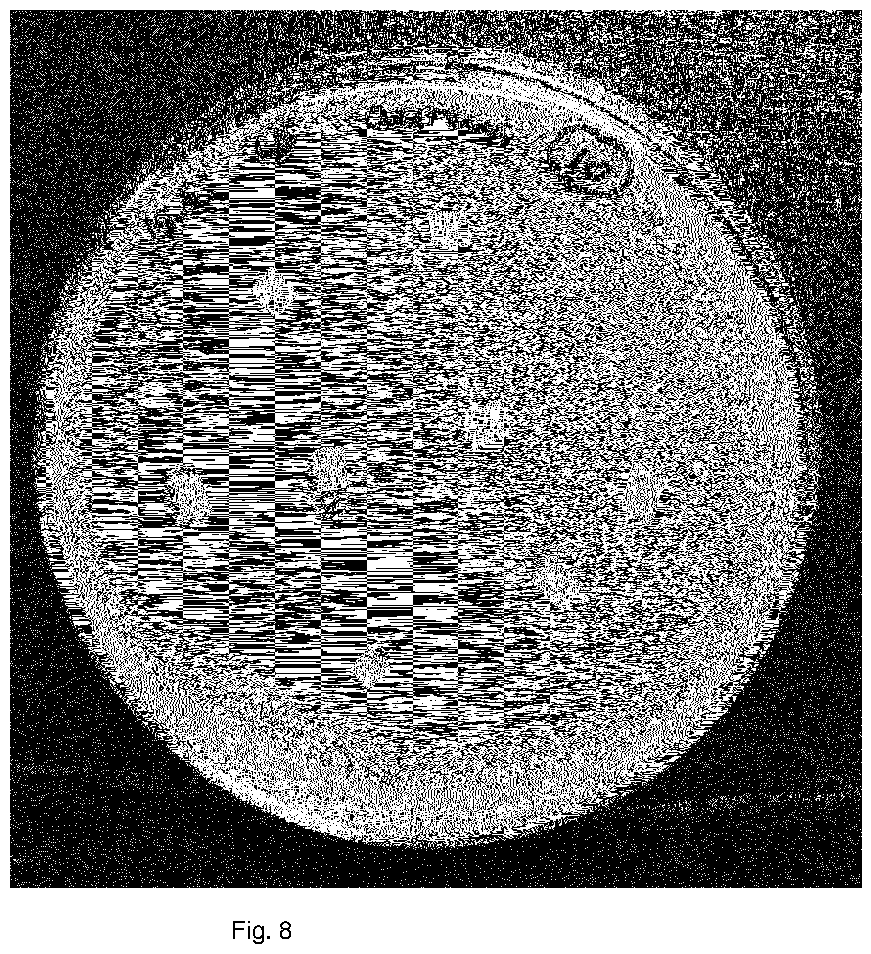 Patent US11771094 Figure 8 – Antimicrobial polymer composition