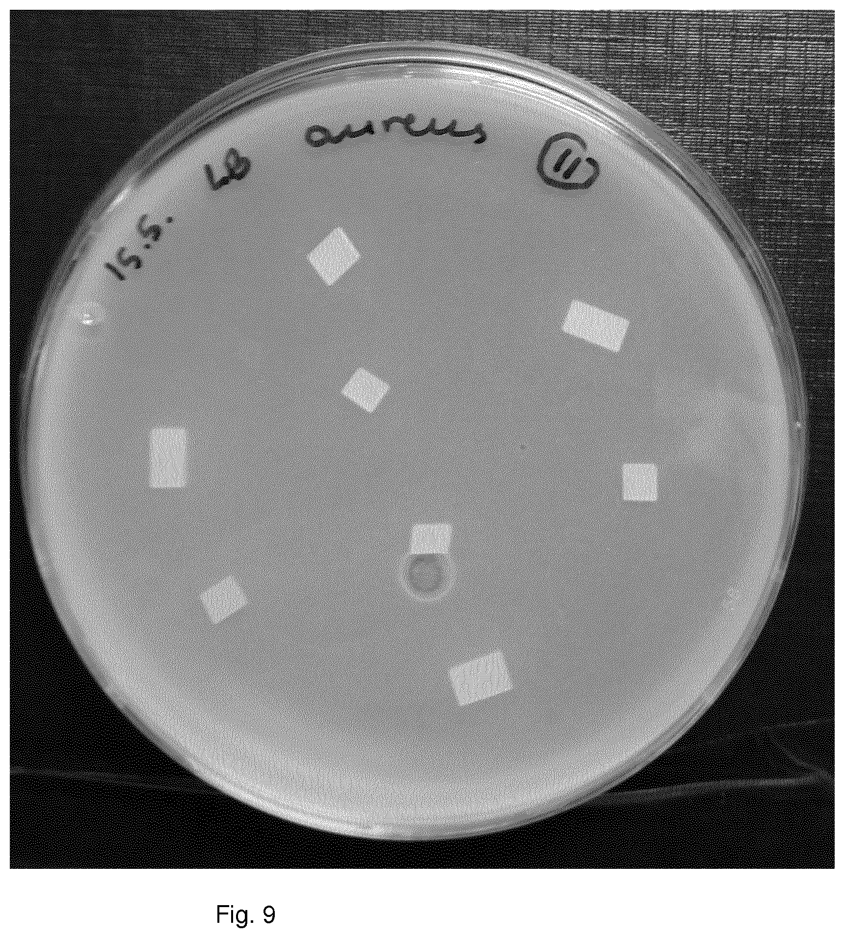 Patent US11771094 Figure 9 – Antimicrobial polymer composition