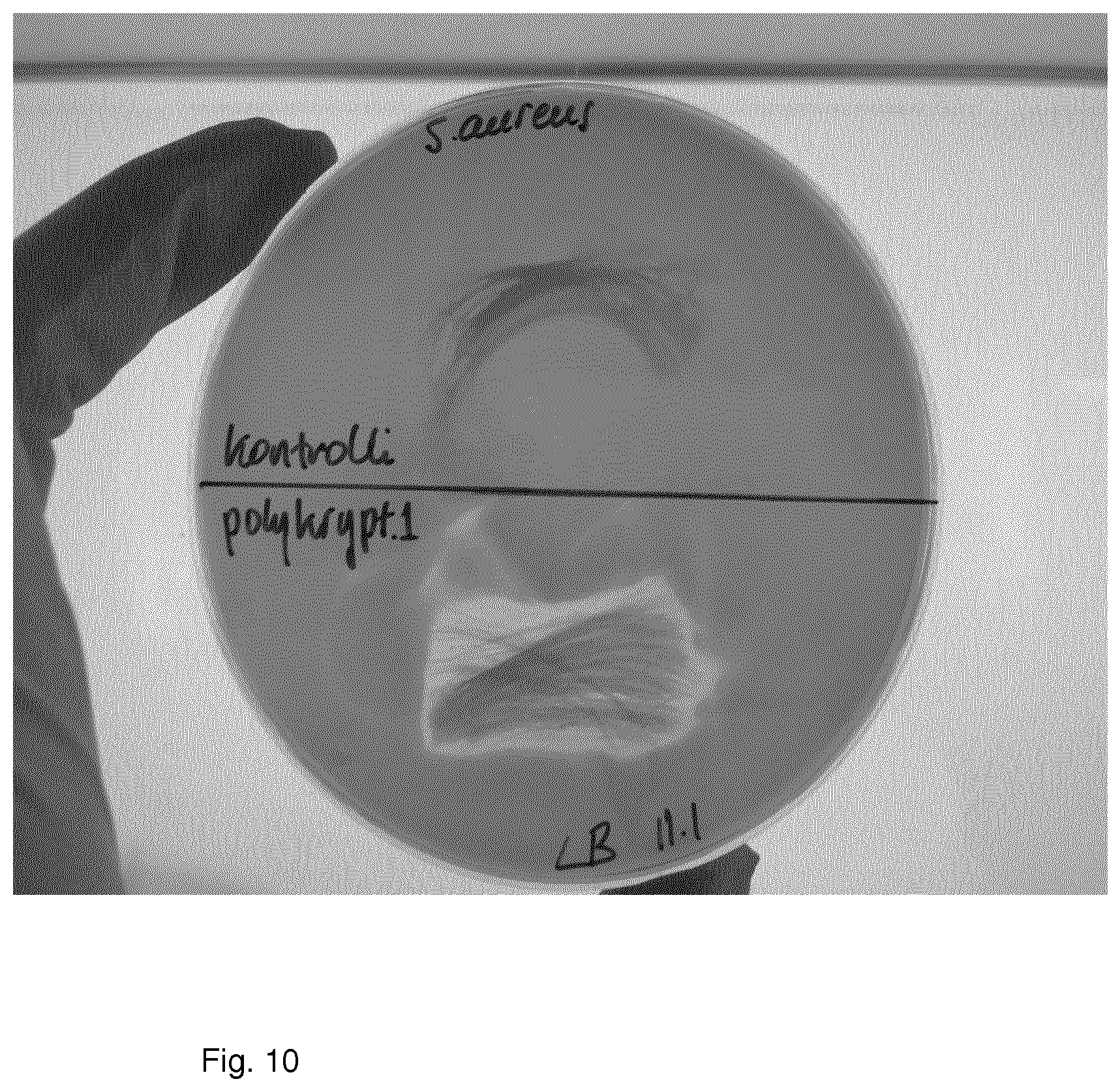 Patent US11771094 Figure 10 – Antimicrobial polymer composition