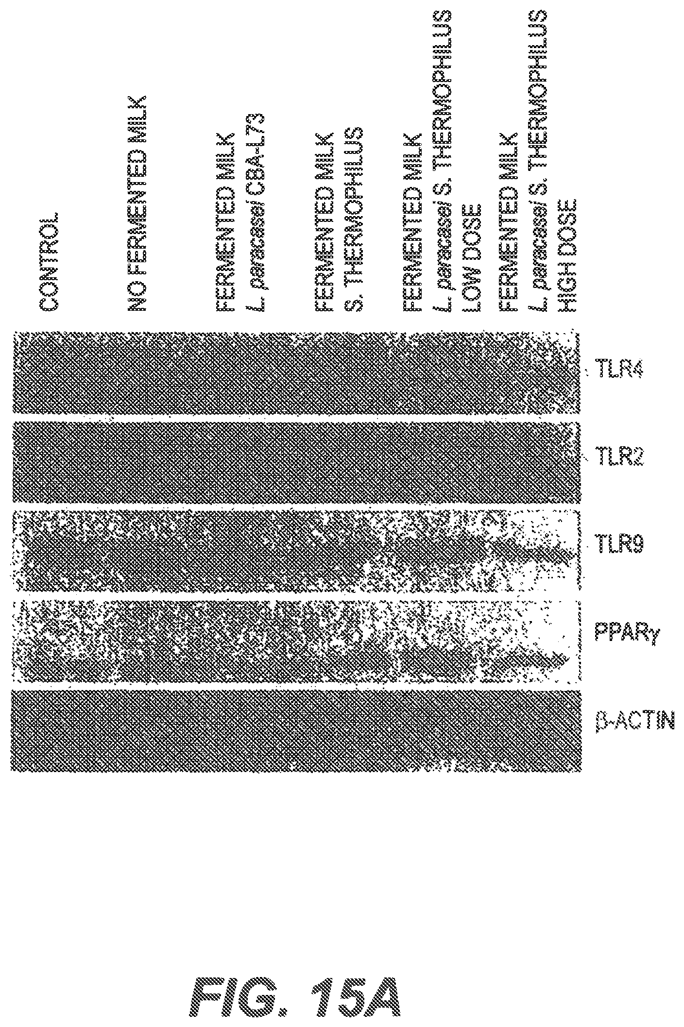Patent US11771102 Figure 18 – Probiotic compositions and methods