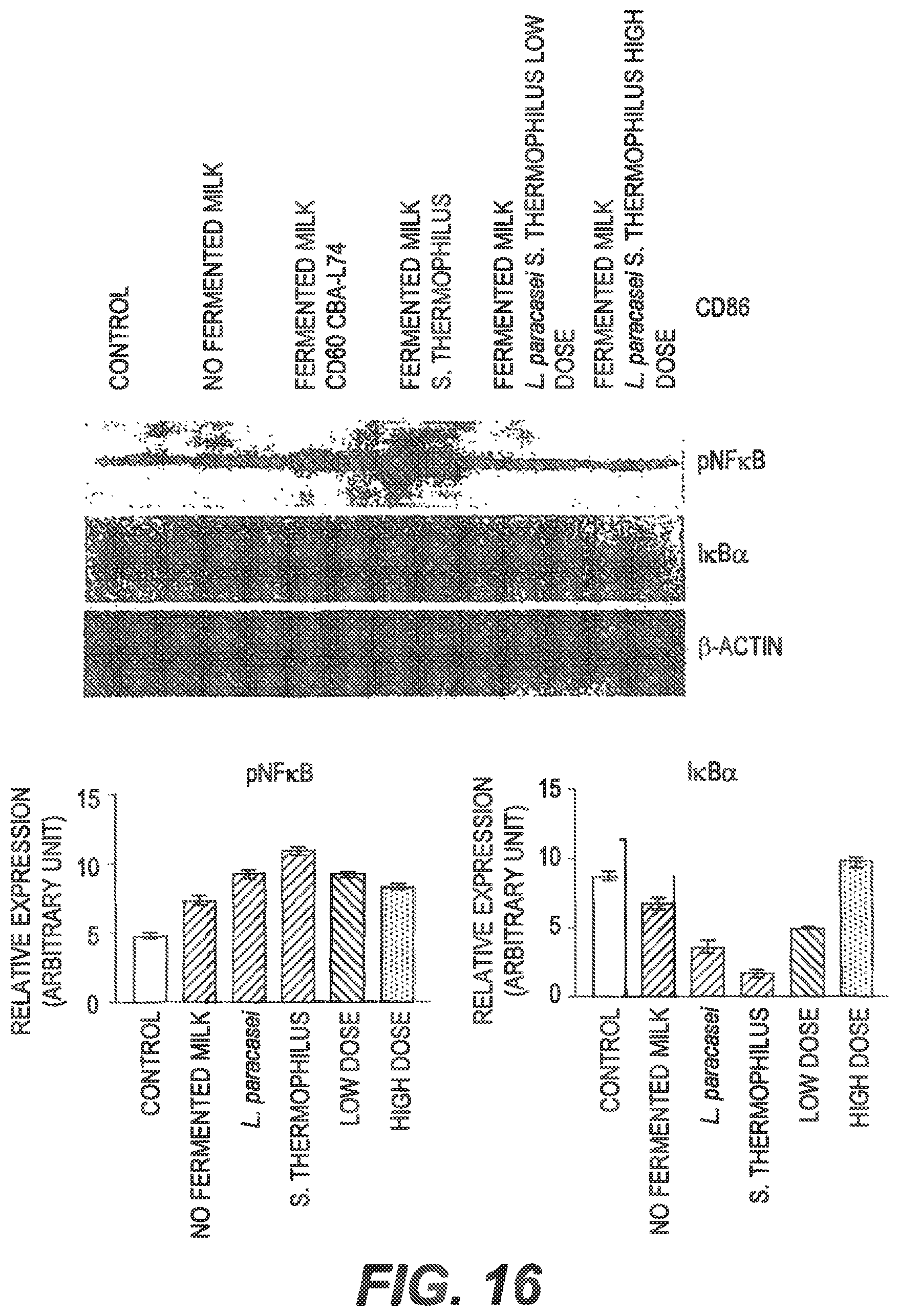 Patent US11771102 Figure 20 – Probiotic compositions and methods