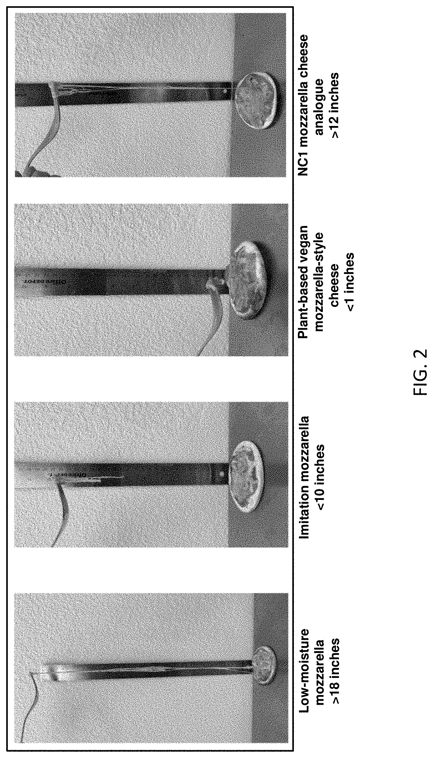 Patent US11771105 Figure 2 – Dairy-like compositions and related methods