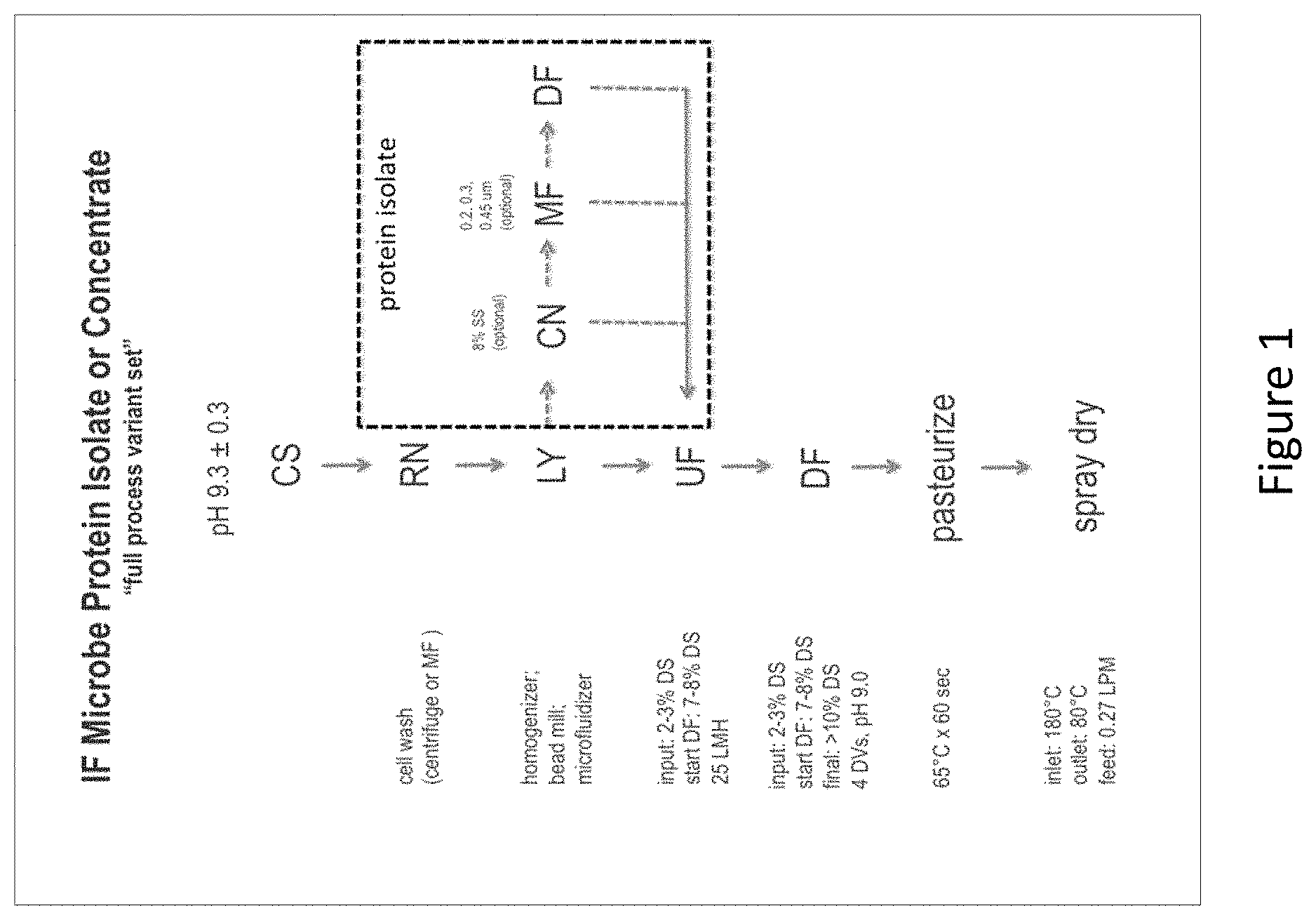 Patent US11771111 Figure 1 – Purified protein