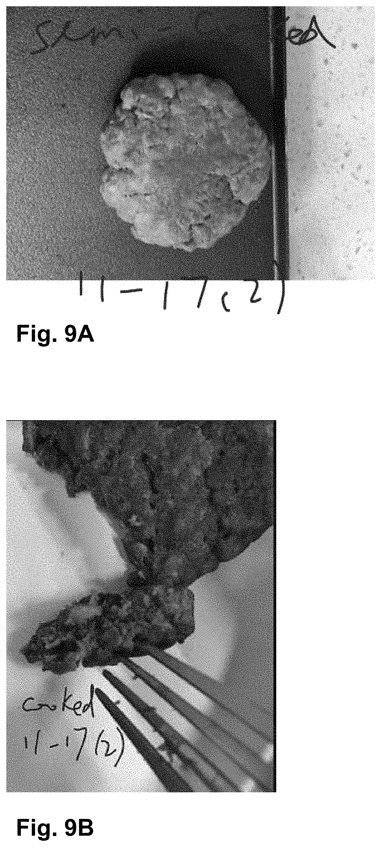 Patent US11771112 Figure 20 – Plant base/animal cell hybrid meat substitute