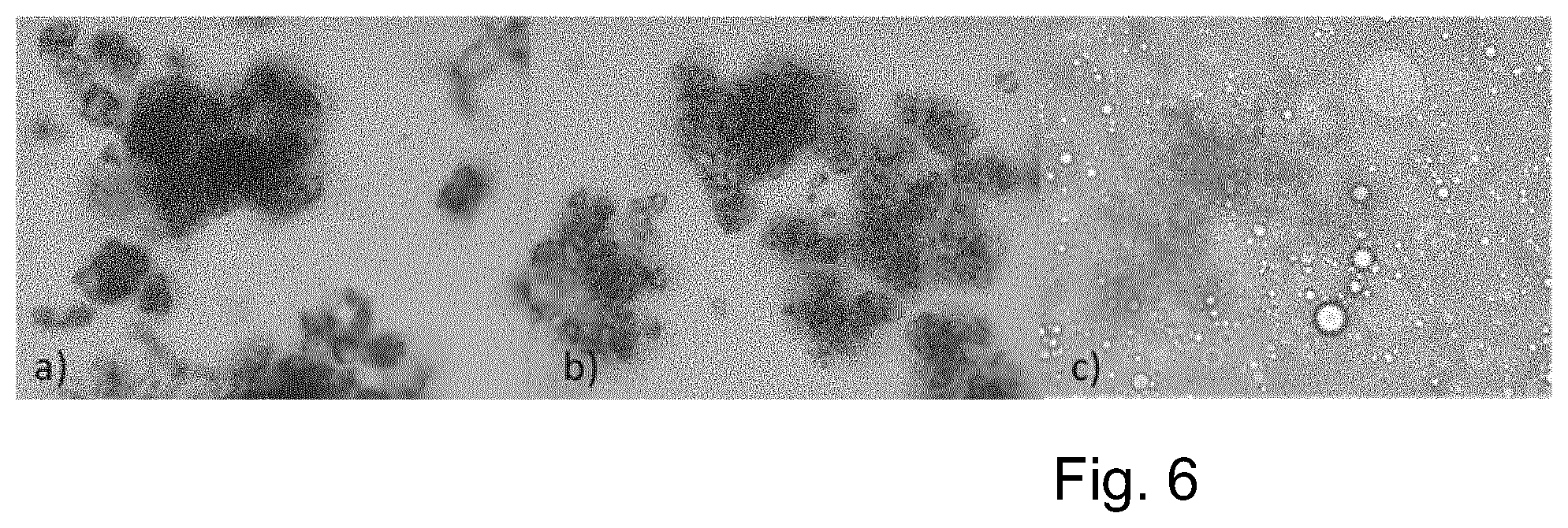 Patent US11771118 Figure 4 – Cream cheese-like food product and production method