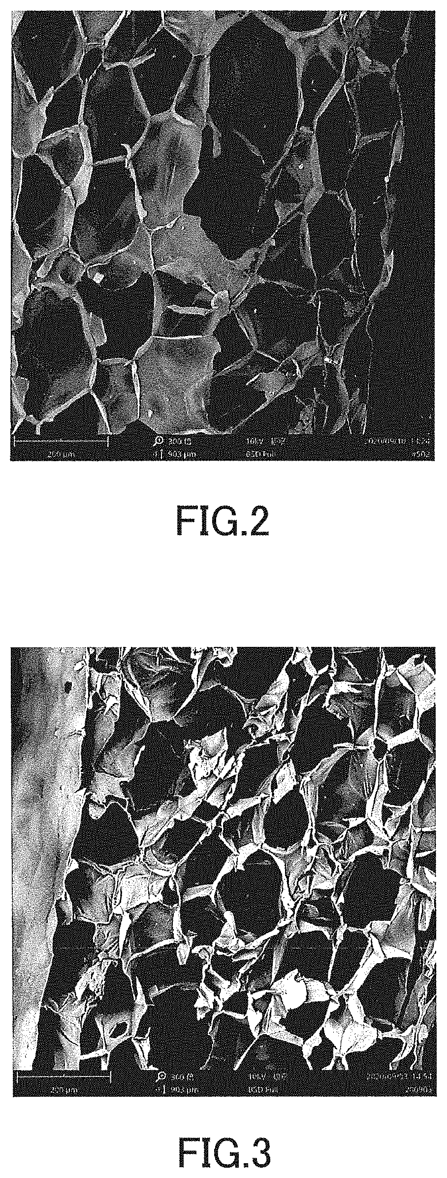 Patent US11771122 Figure 2 – Foam body and method for manufacturing the same