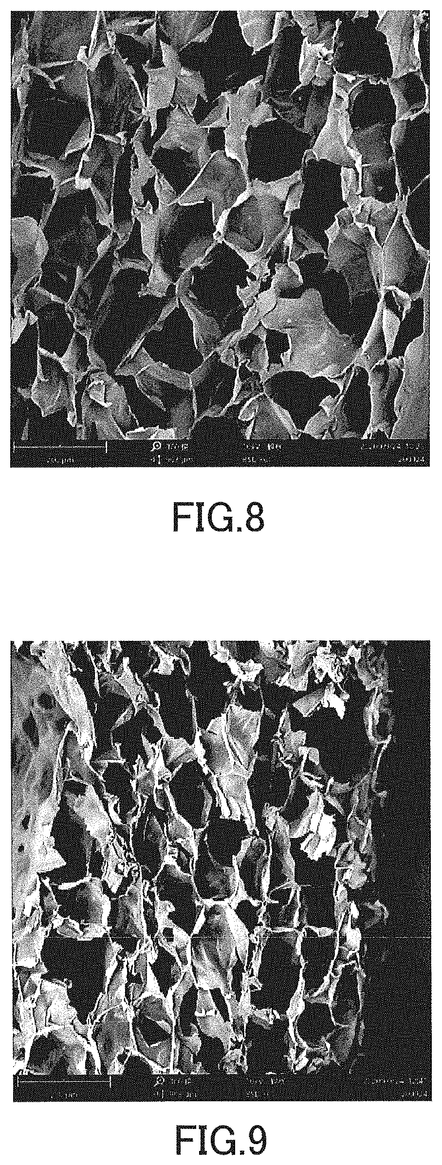 Patent US11771122 Figure 5 – Foam body and method for manufacturing the same