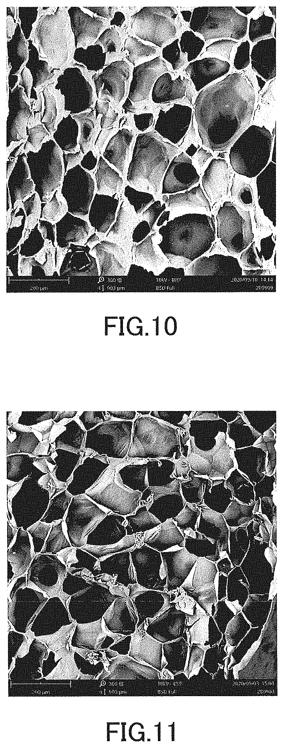 Patent US11771122 Figure 6 – Foam body and method for manufacturing the same