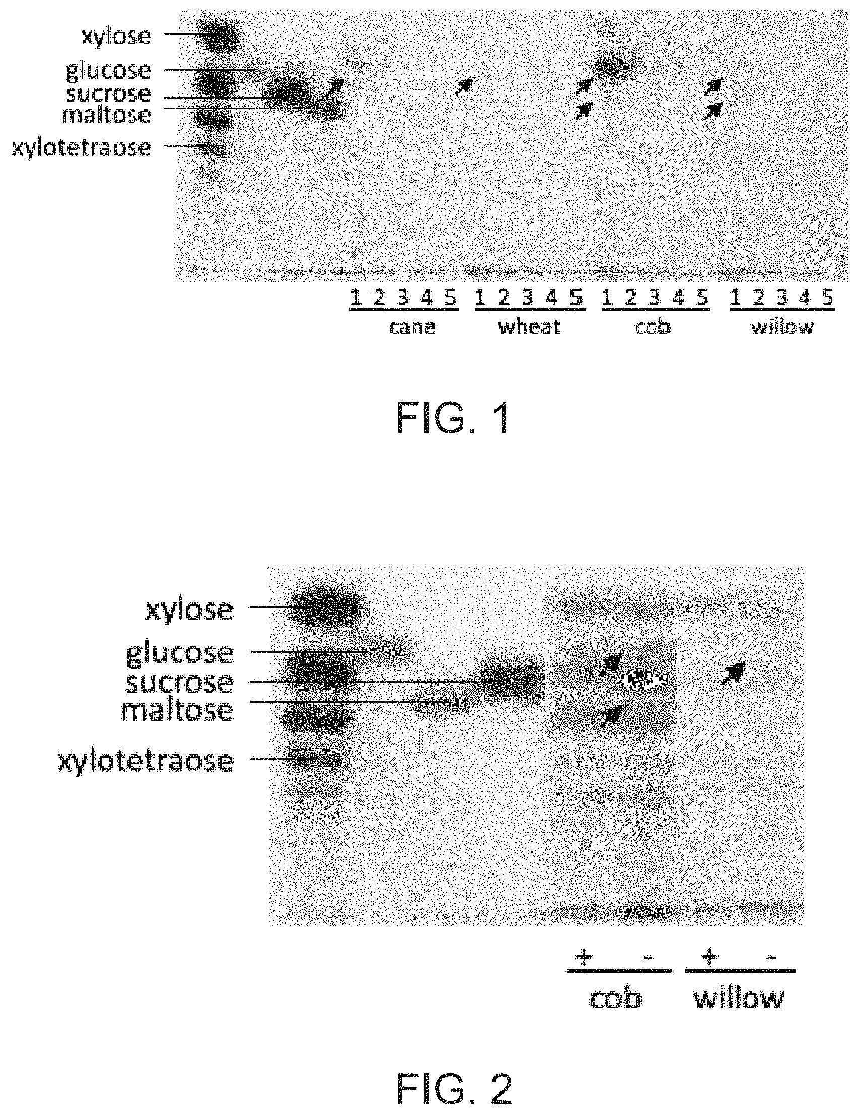 Patent US11771123 Figure 1 – Methods for treating biomass to produce oligosaccharides and related compositions