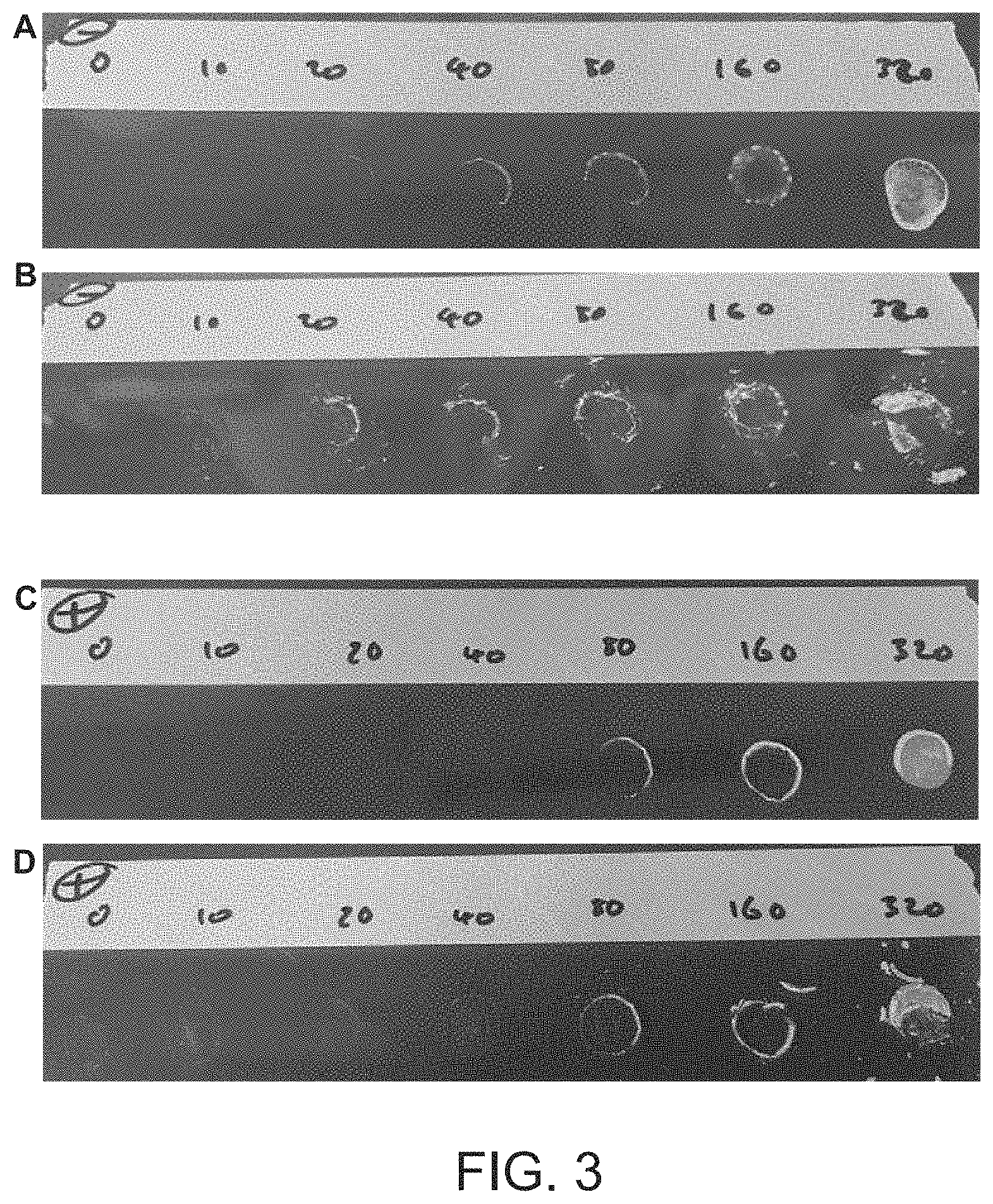 Patent US11771123 Figure 2 – Methods for treating biomass to produce oligosaccharides and related compositions