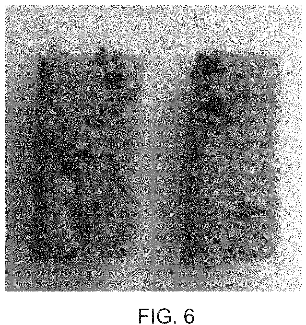 Patent US11771123 Figure 5 – Methods for treating biomass to produce oligosaccharides and related compositions