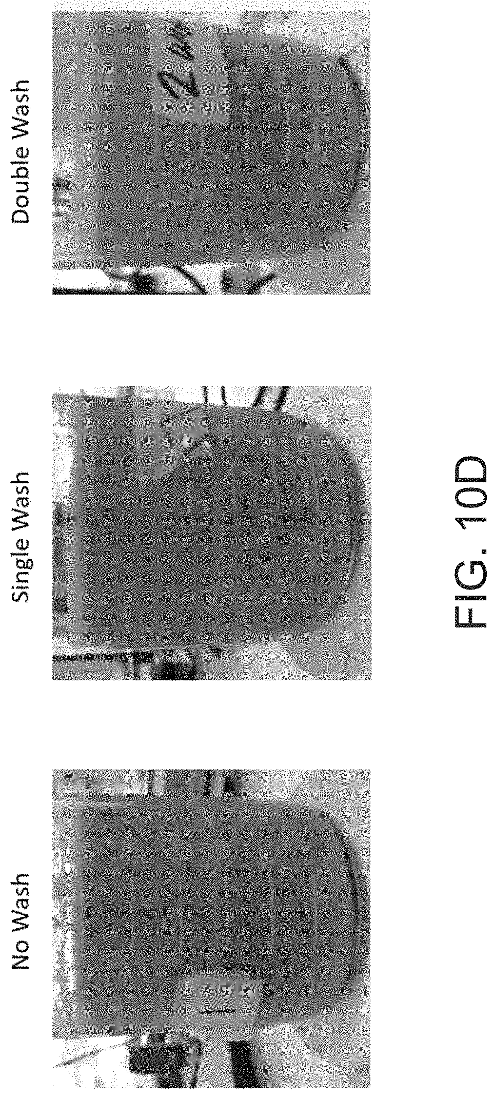 Patent US11771123 Figure 12 – Methods for treating biomass to produce oligosaccharides and related compositions