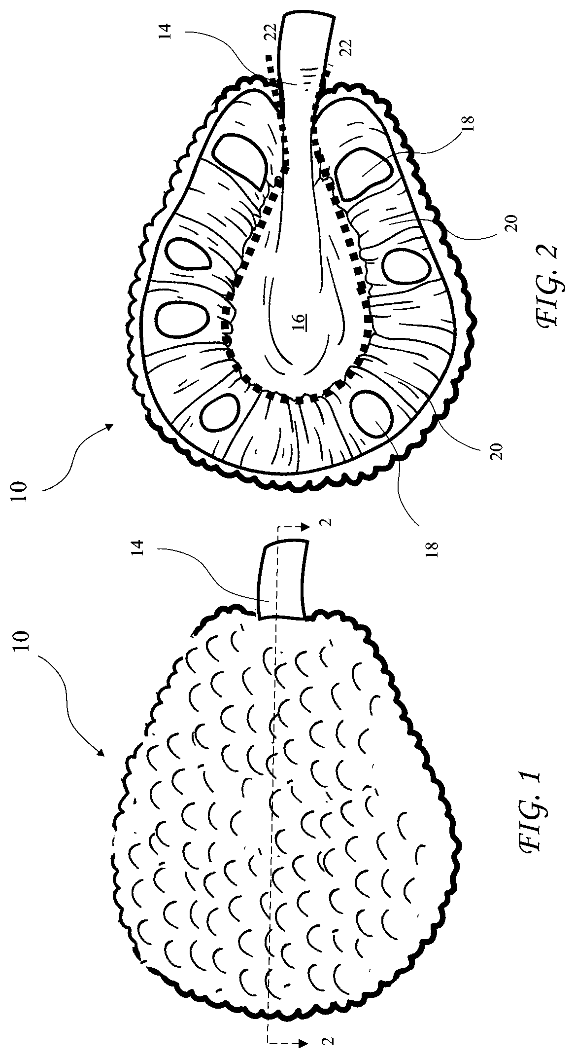 Patent US11771256 Figure 1 – Serrated jackfruit knife