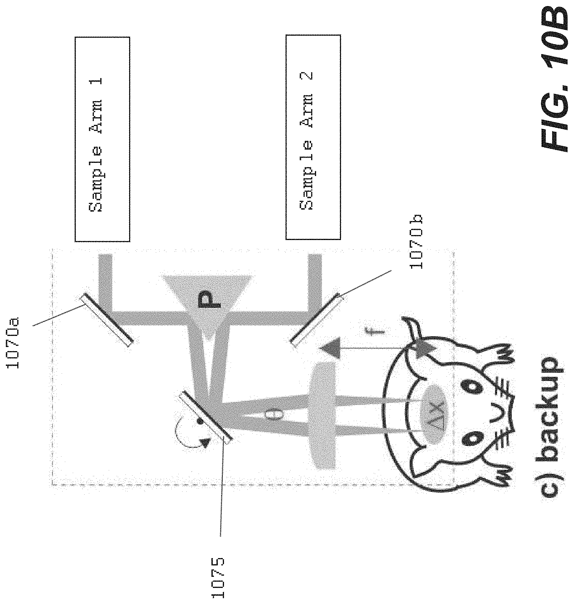 Patent US11771321 Figure 12 – System, method, and computer-accessible medium for subsurface capillary flow imaging by wavelength-division-multiplexing swept-source optical doppler tomography