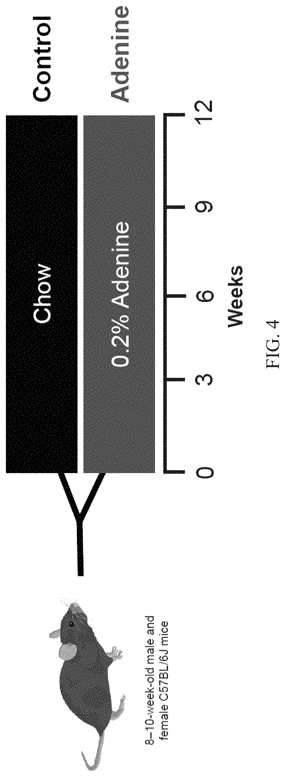 Patent US11771378 Figure 4 – Systems and methods for quantifying duration of heart sounds
