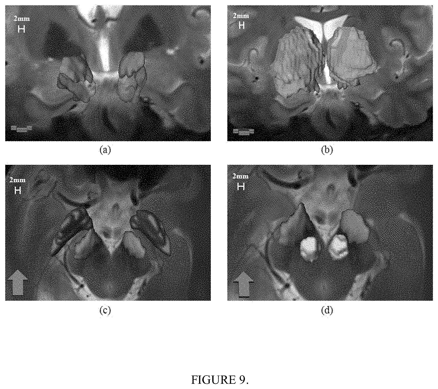 Patent US11771389 Figure 9 – Method for a brain region location and shape prediction
