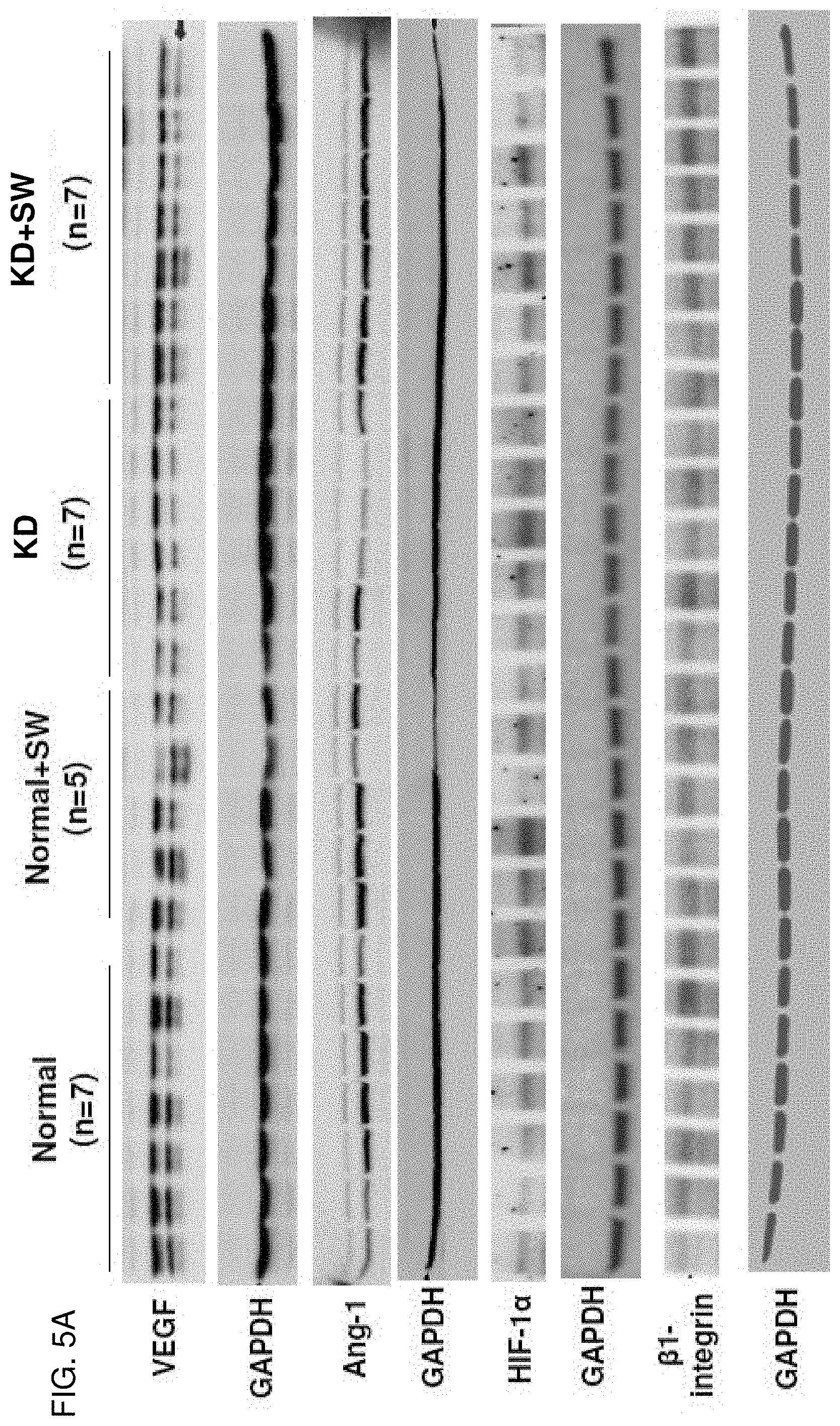 Patent US11771447 Figure 6 – Method of treatment with low energy extracorporeal shockwaves