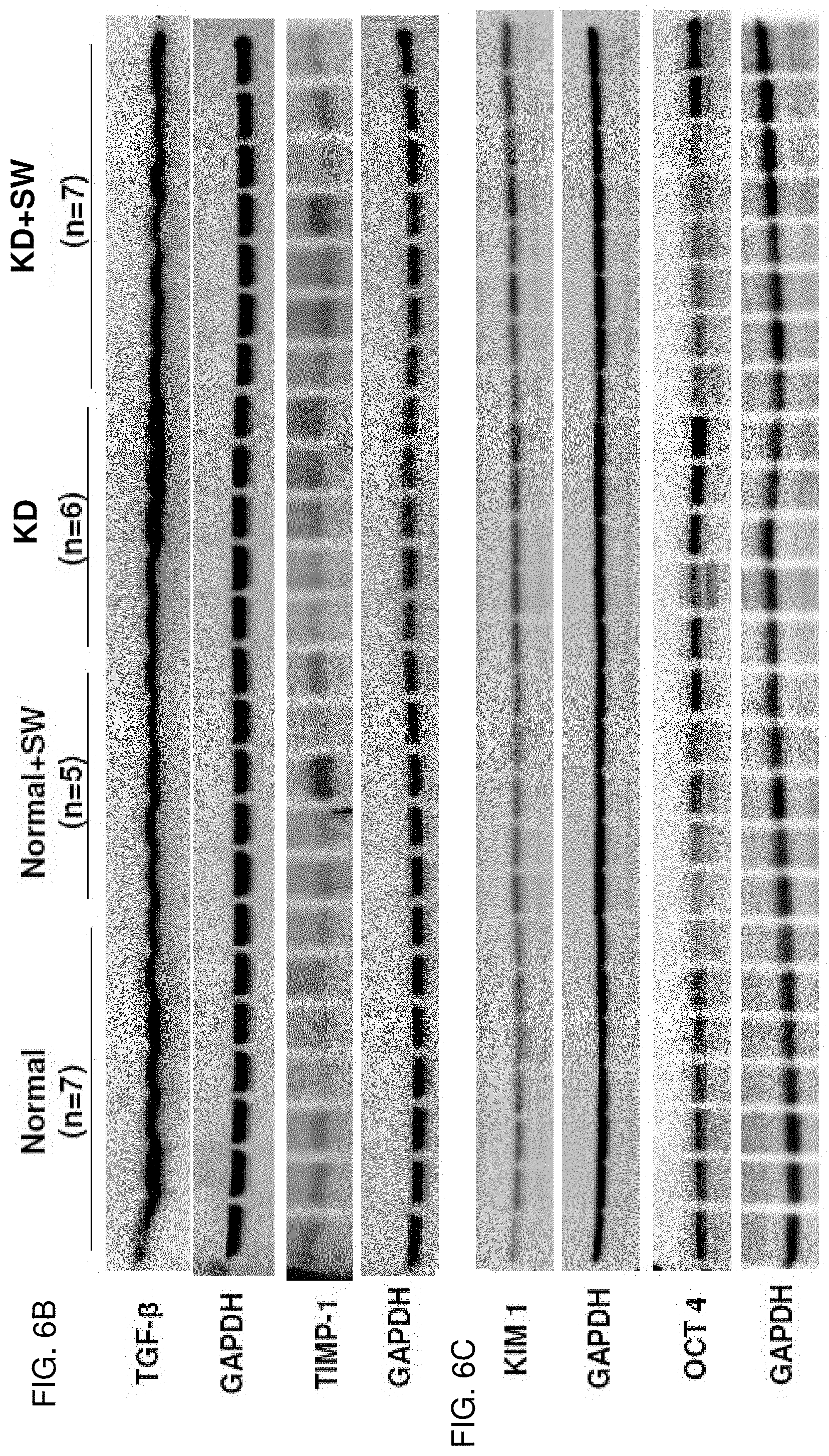 Patent US11771447 Figure 9 – Method of treatment with low energy extracorporeal shockwaves