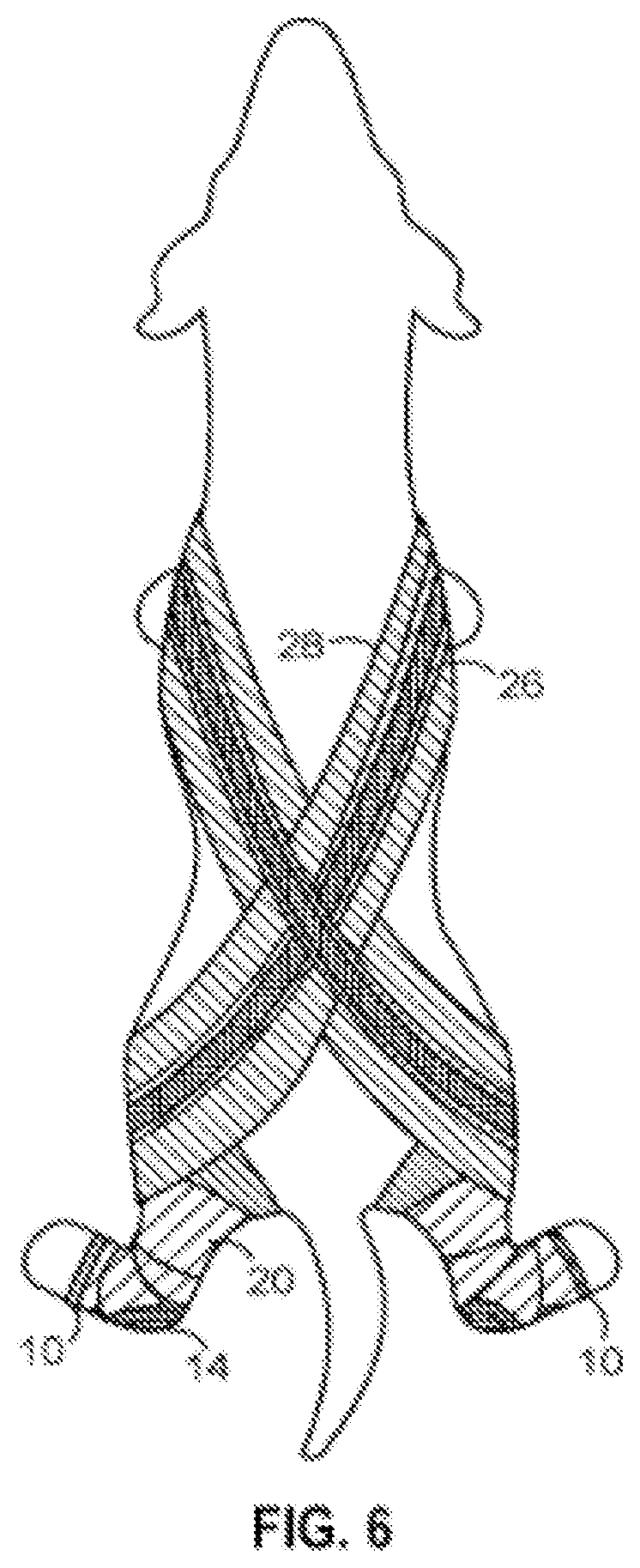 Patent US11771540 Figure 3 – Support device for quadrupeds