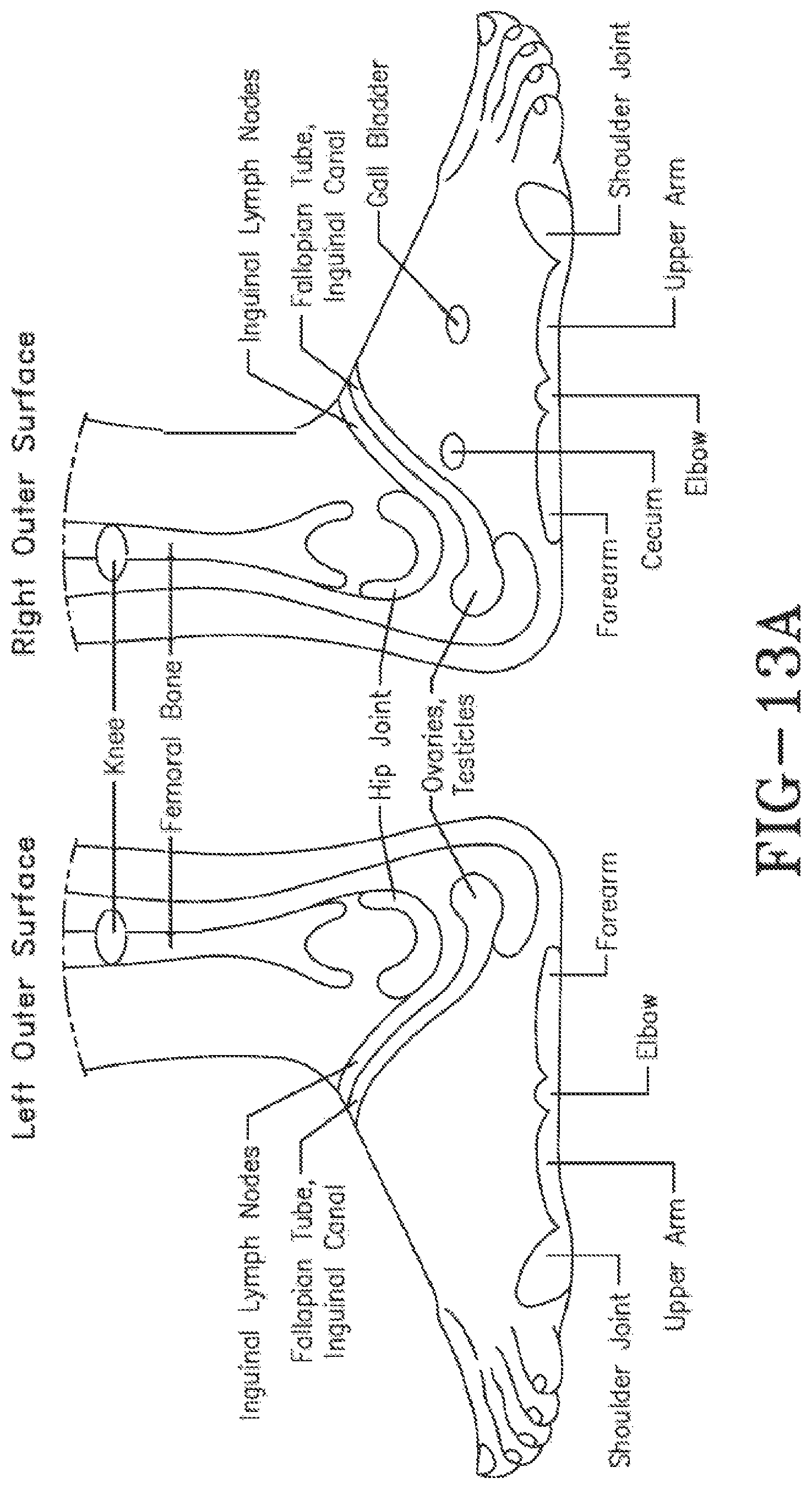 Patent US11771621 Figure 10 – Acoustic shock wave therapeutic methods to prevent or treat opioid addiction