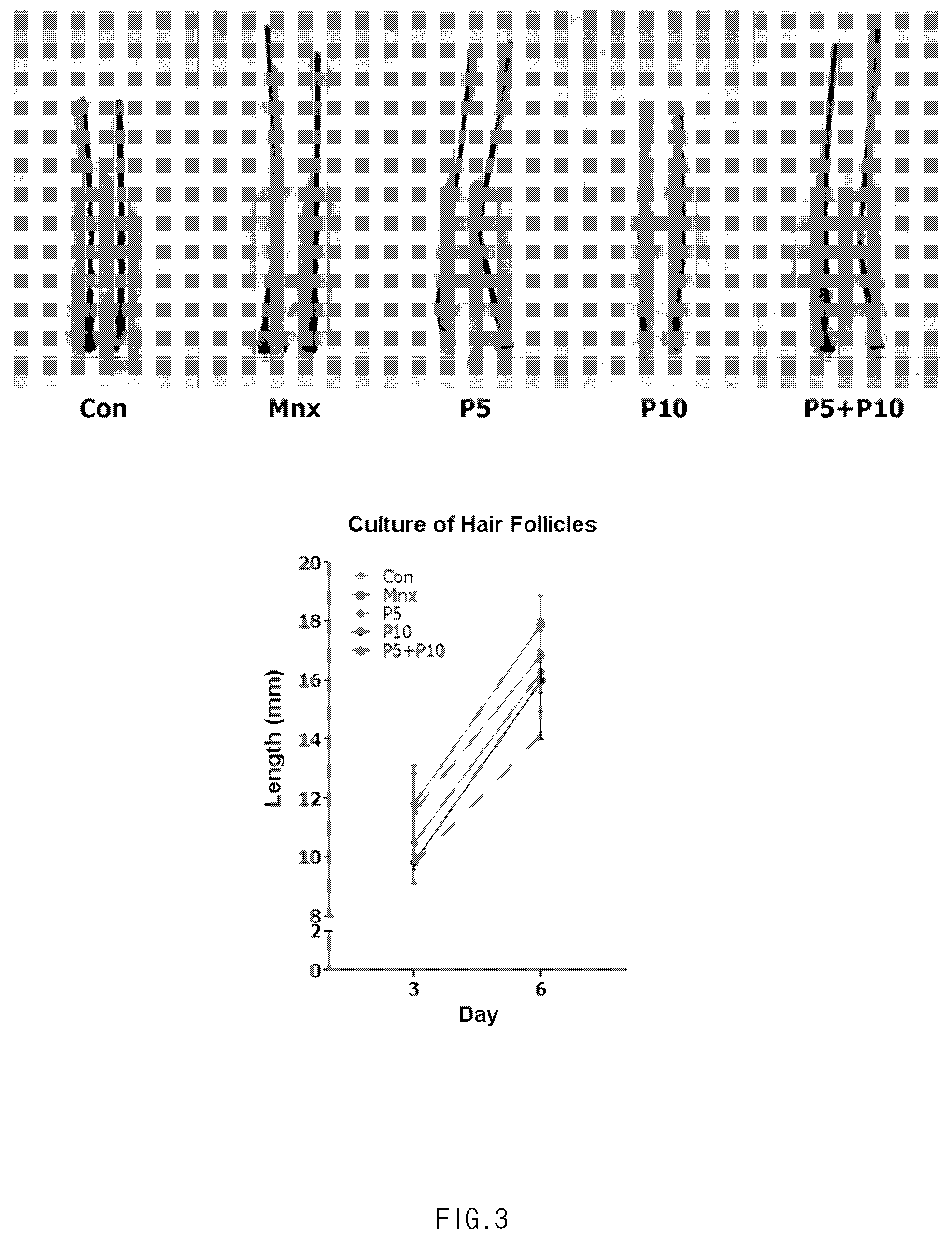 Patent US11771636 Figure 3 – Composition for promoting hair growth comprising adiponectin-derived peptide