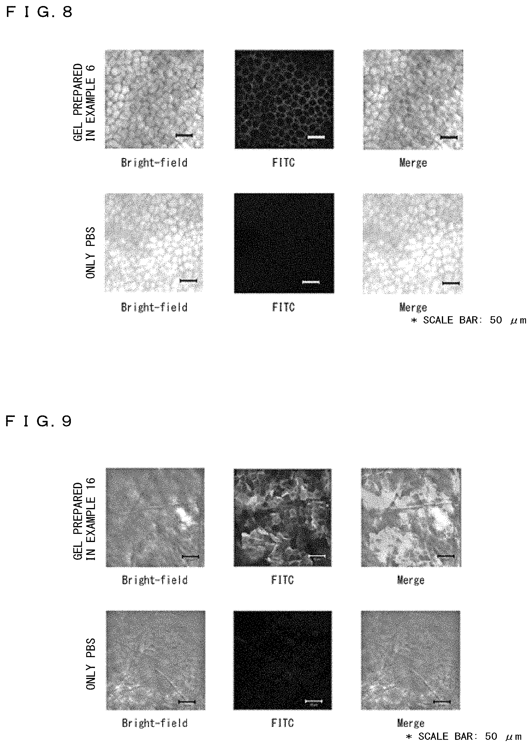 Patent US11771645 Figure 4 – Transdermally absorbable base material containing lipid peptide compound