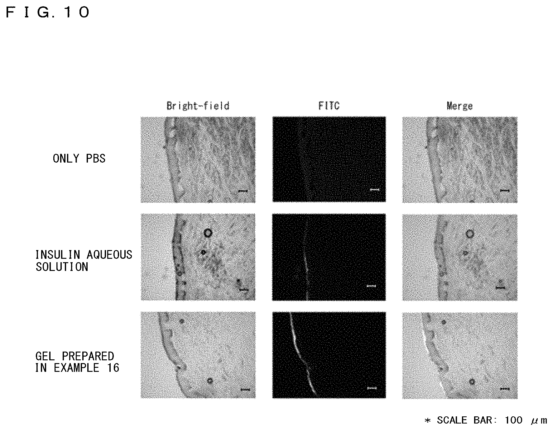 Patent US11771645 Figure 5 – Transdermally absorbable base material containing lipid peptide compound