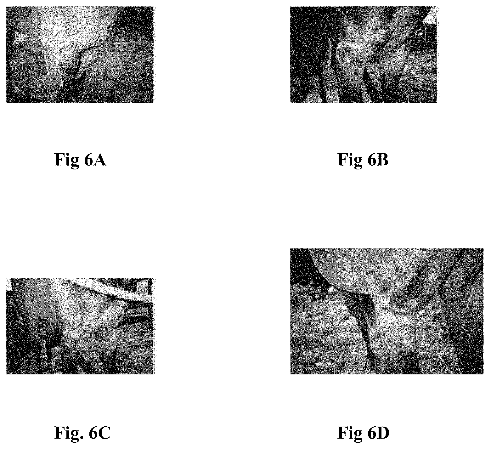 Patent US11771649 Figure 6 – Pharmaceutical lotion or salve utilizing mixed metal hydroxide antimicrobial charged particles