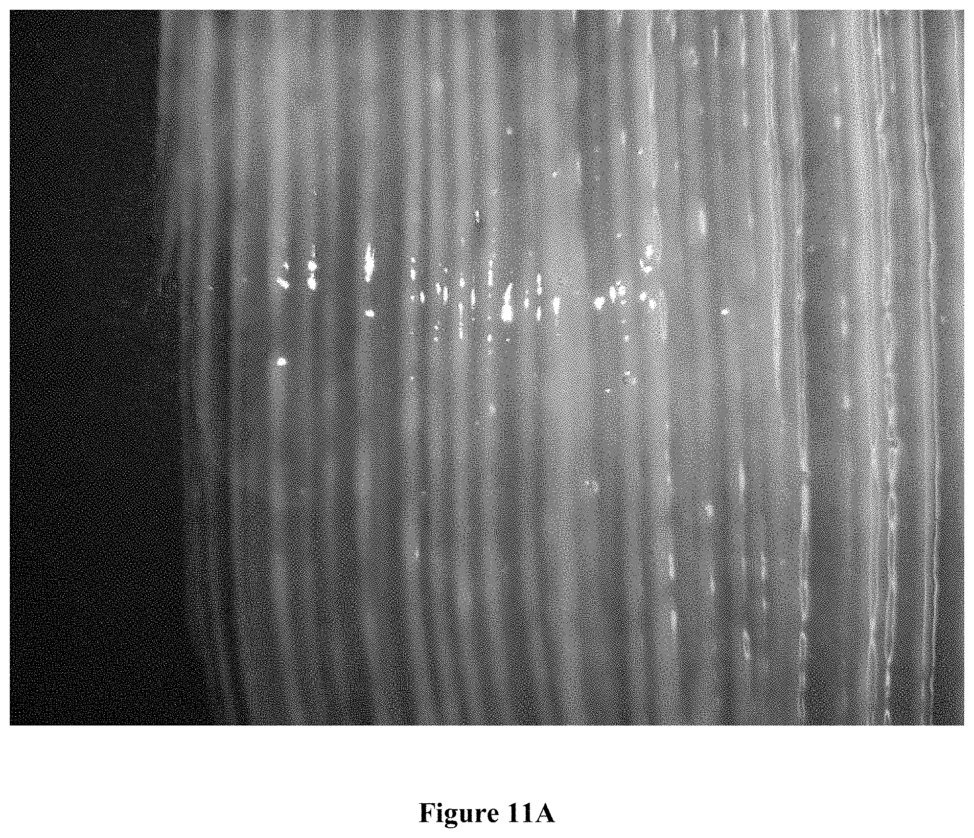 Patent US11771649 Figure 11 – Pharmaceutical lotion or salve utilizing mixed metal hydroxide antimicrobial charged particles